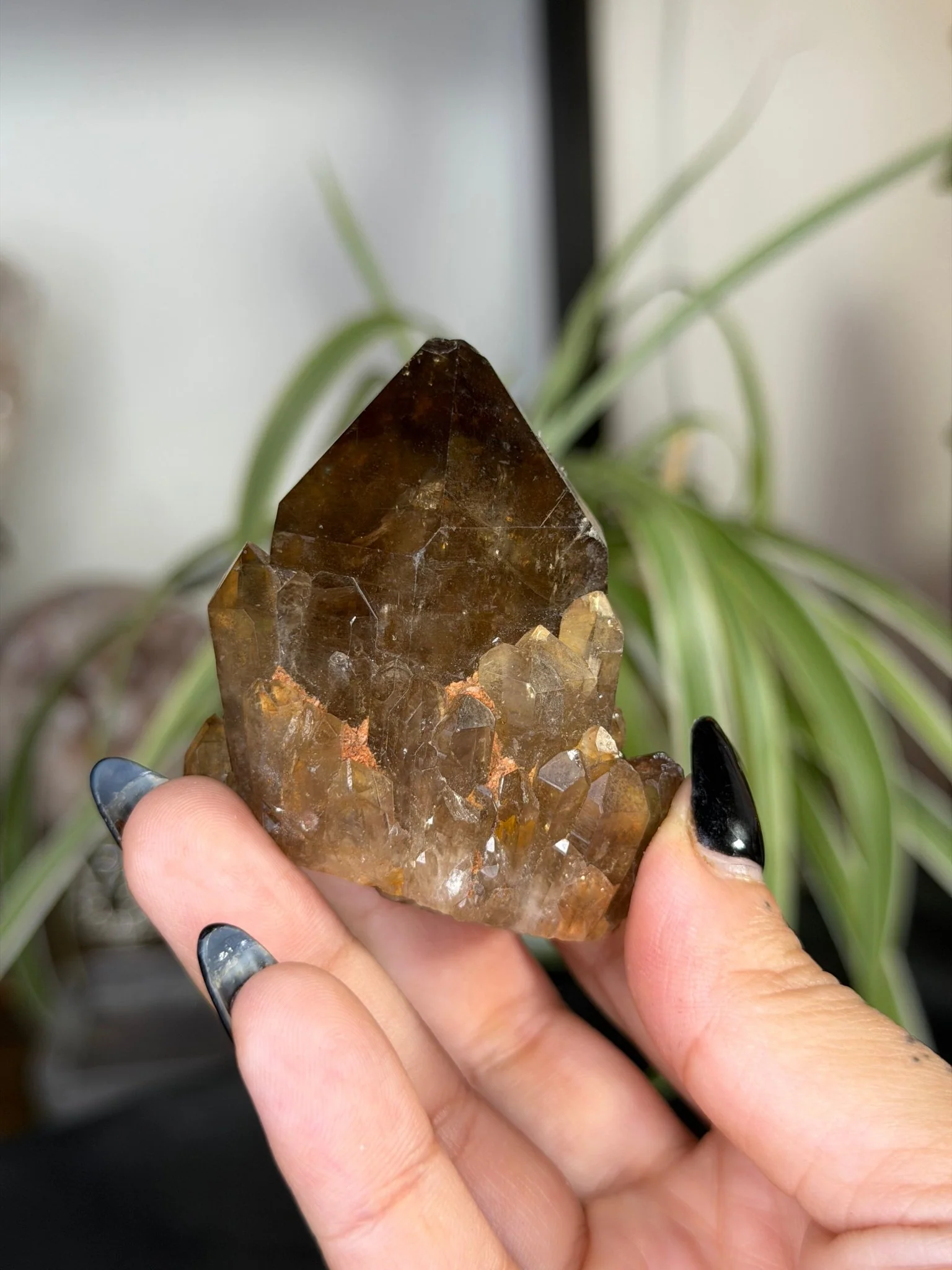 Natural Congo ('Kundalini) Citrine | 129g