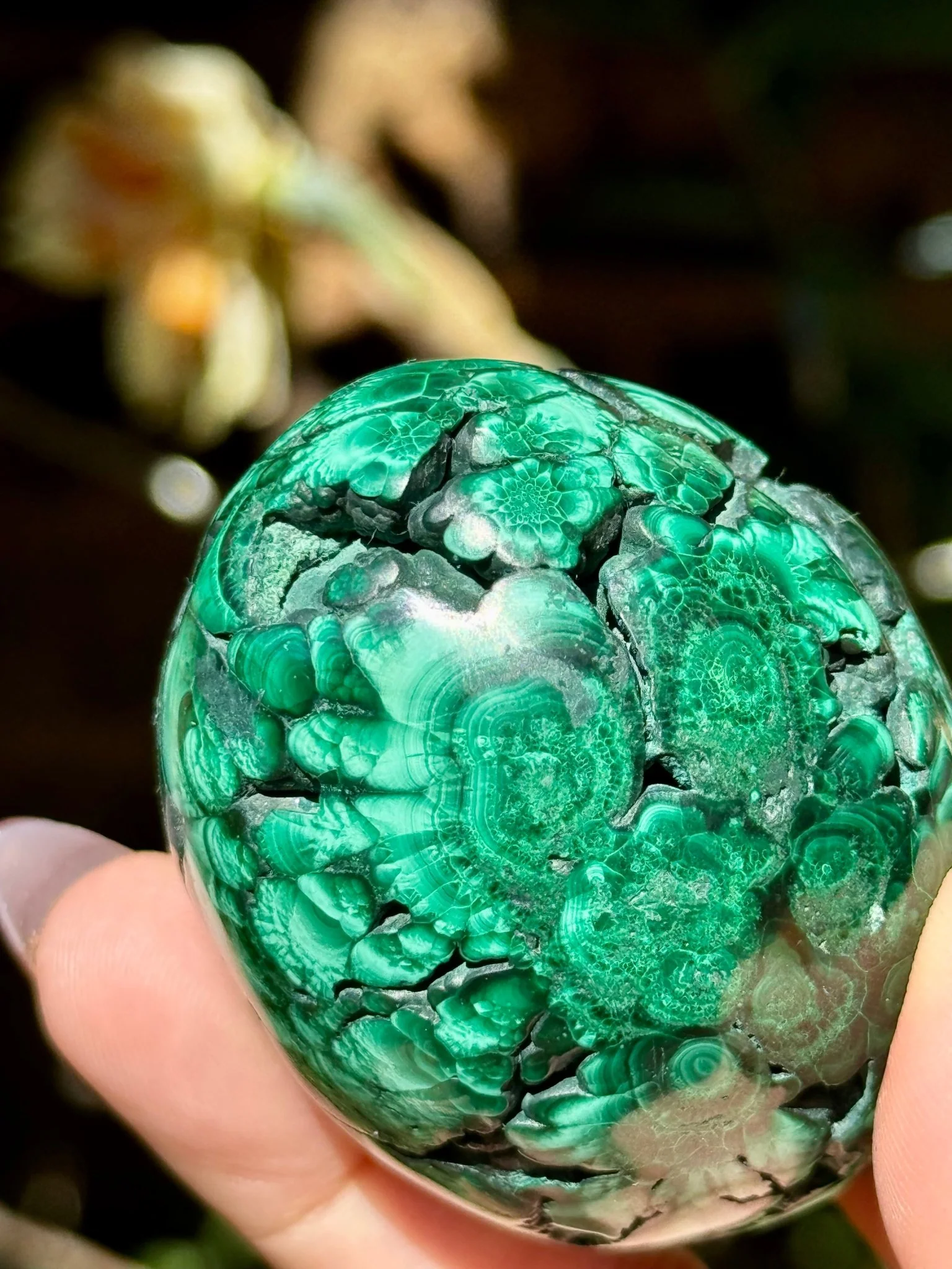 Malachite egg | 178g