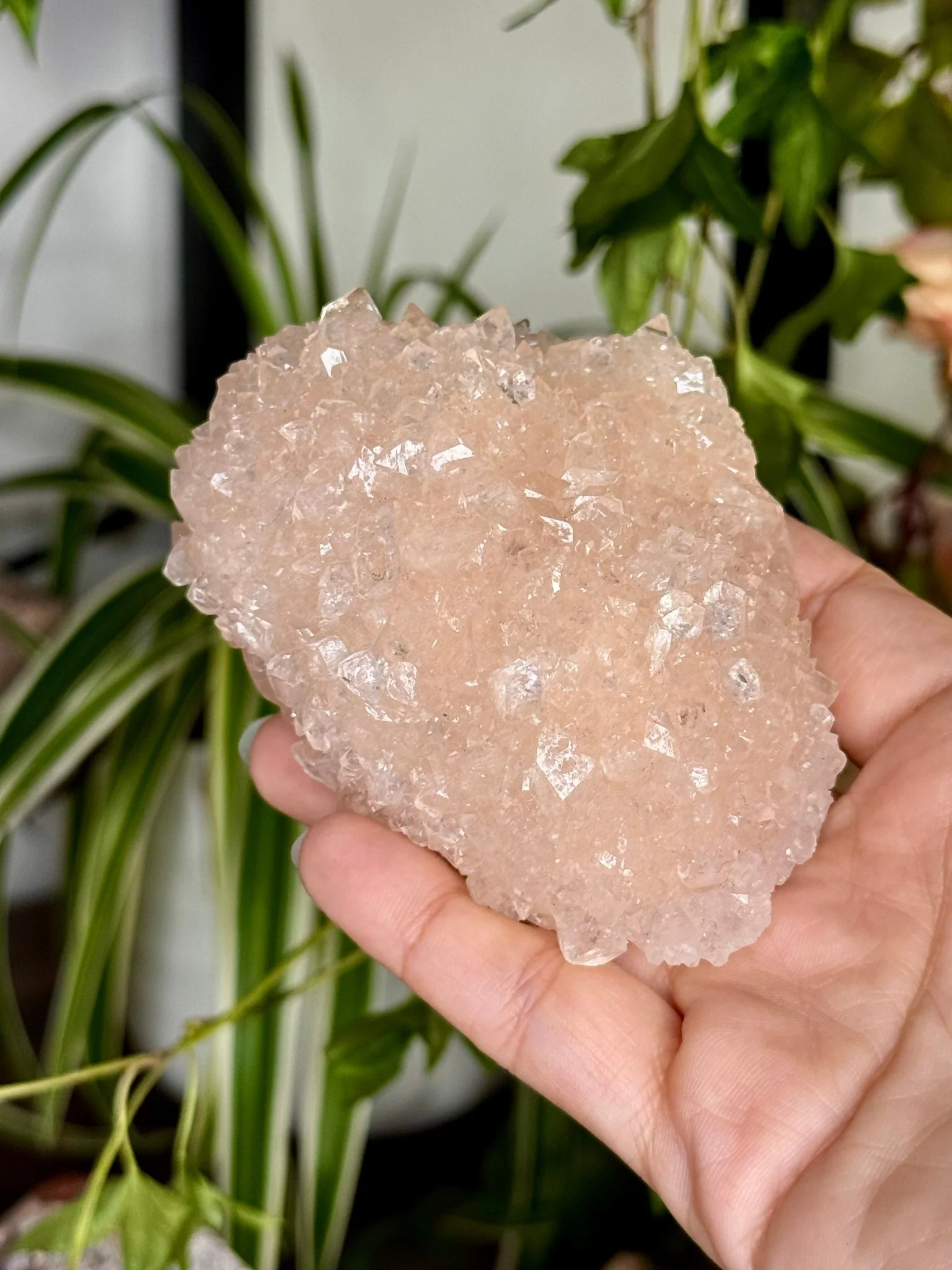 Pink Apophyllite Cluster | 129g