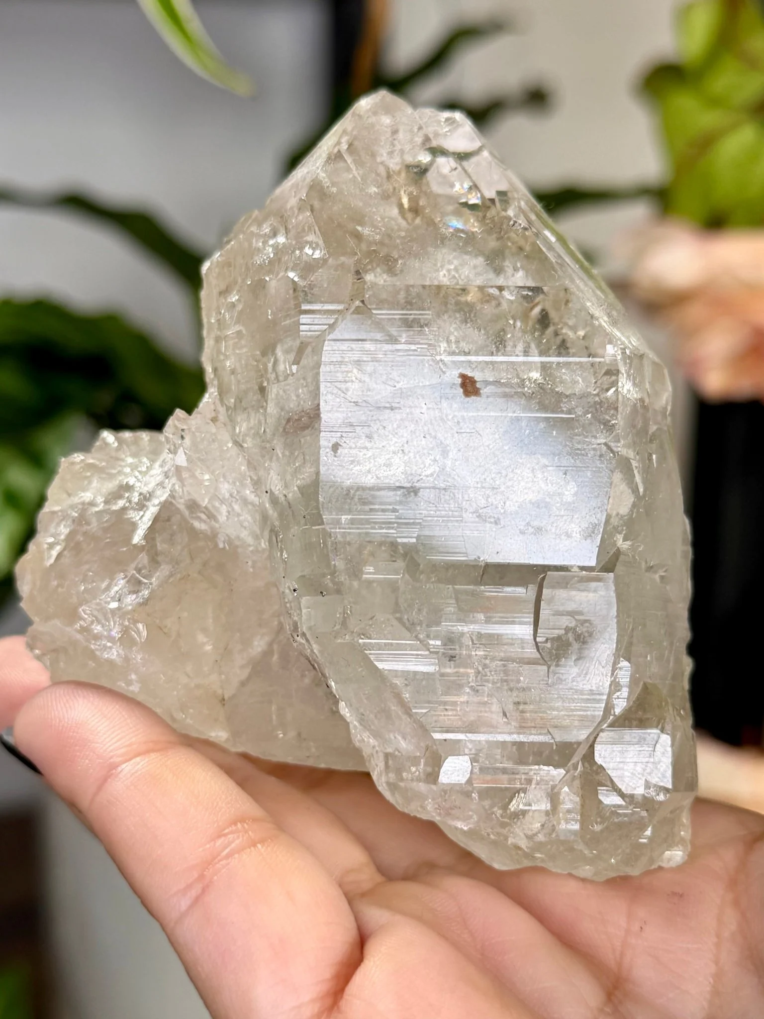 High Quality Himalayan Quartz with Chlorite | 292g
