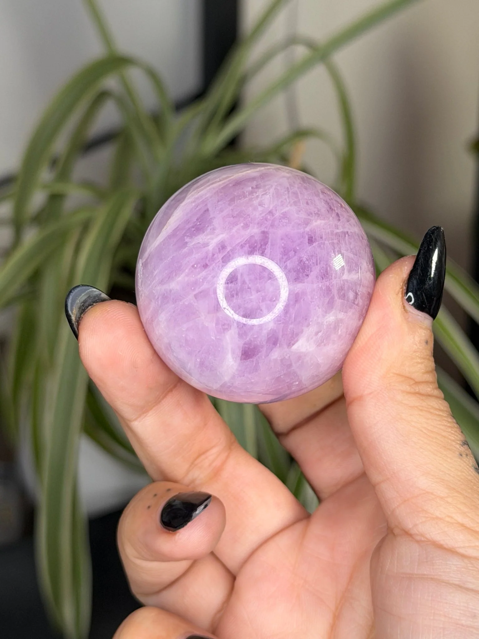 Kunzite Sphere | 126g