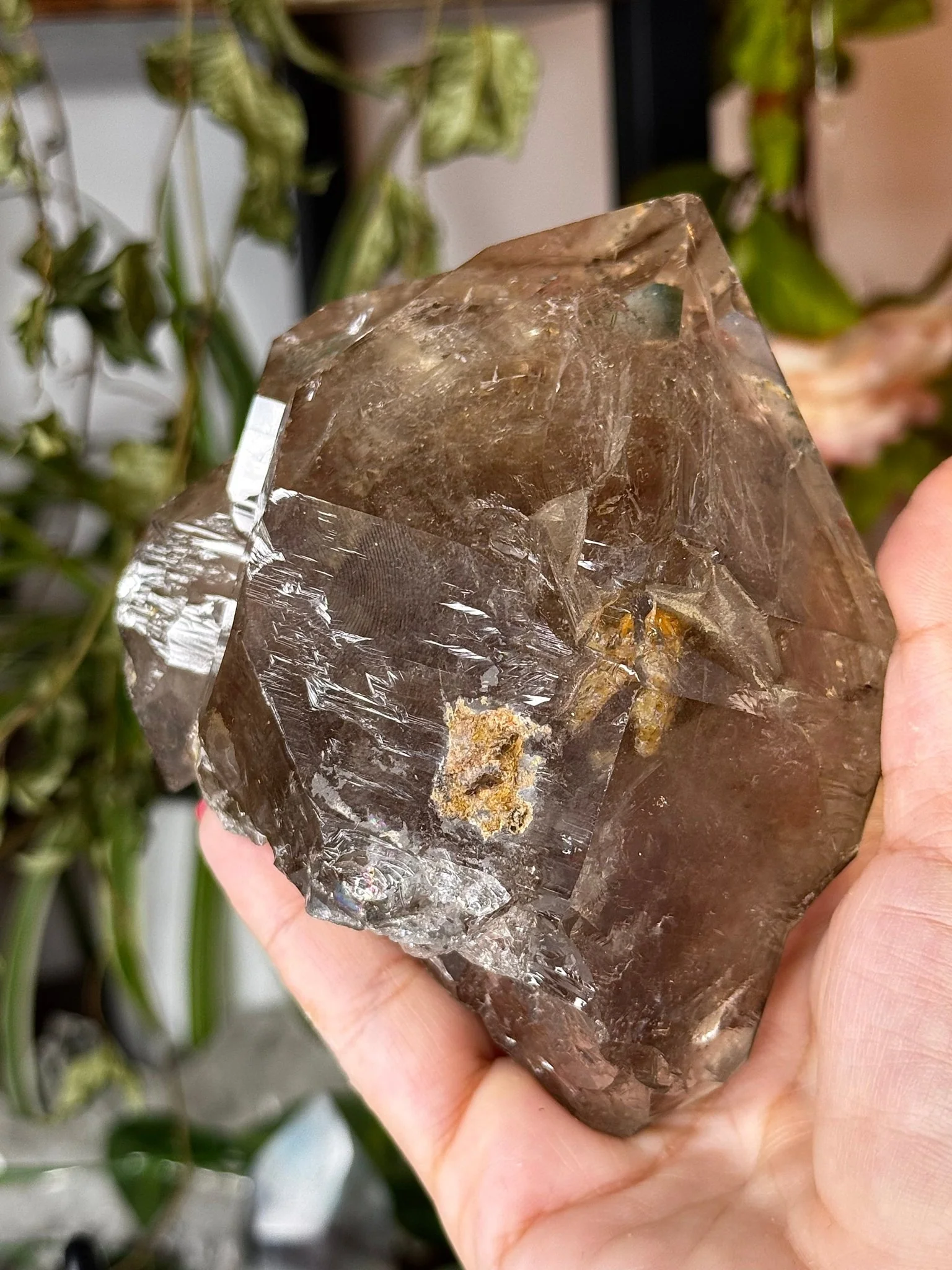 Statment Piece ~ Elestial Smokey Quartz | 575g