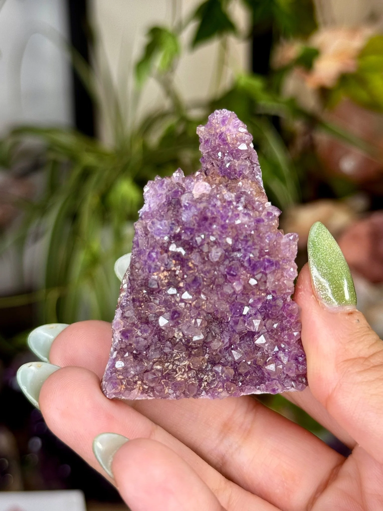 Alacam Amethyst Cluster | 55g