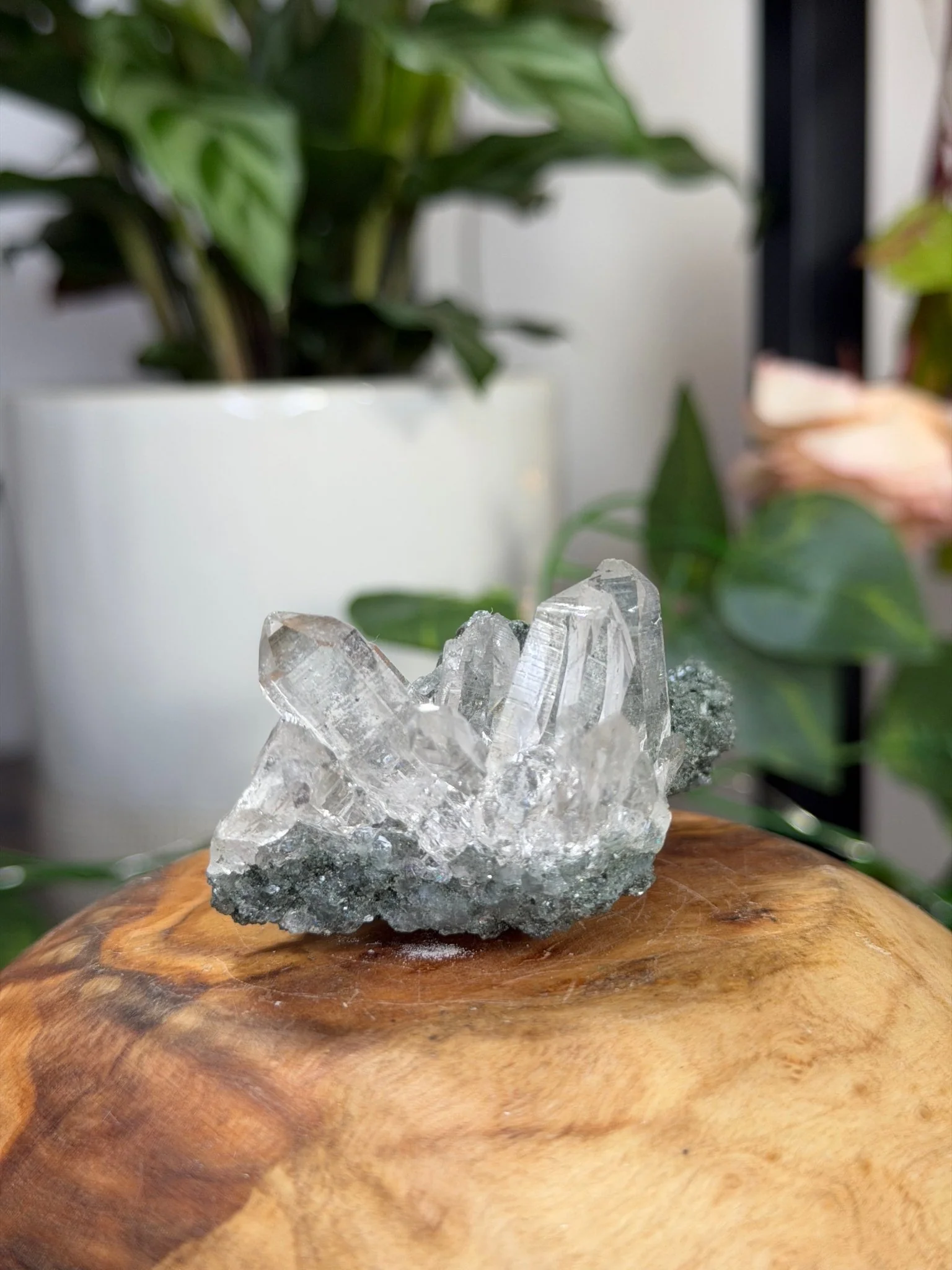 High Quality Himalayan Quartz with Chlorite | 62g