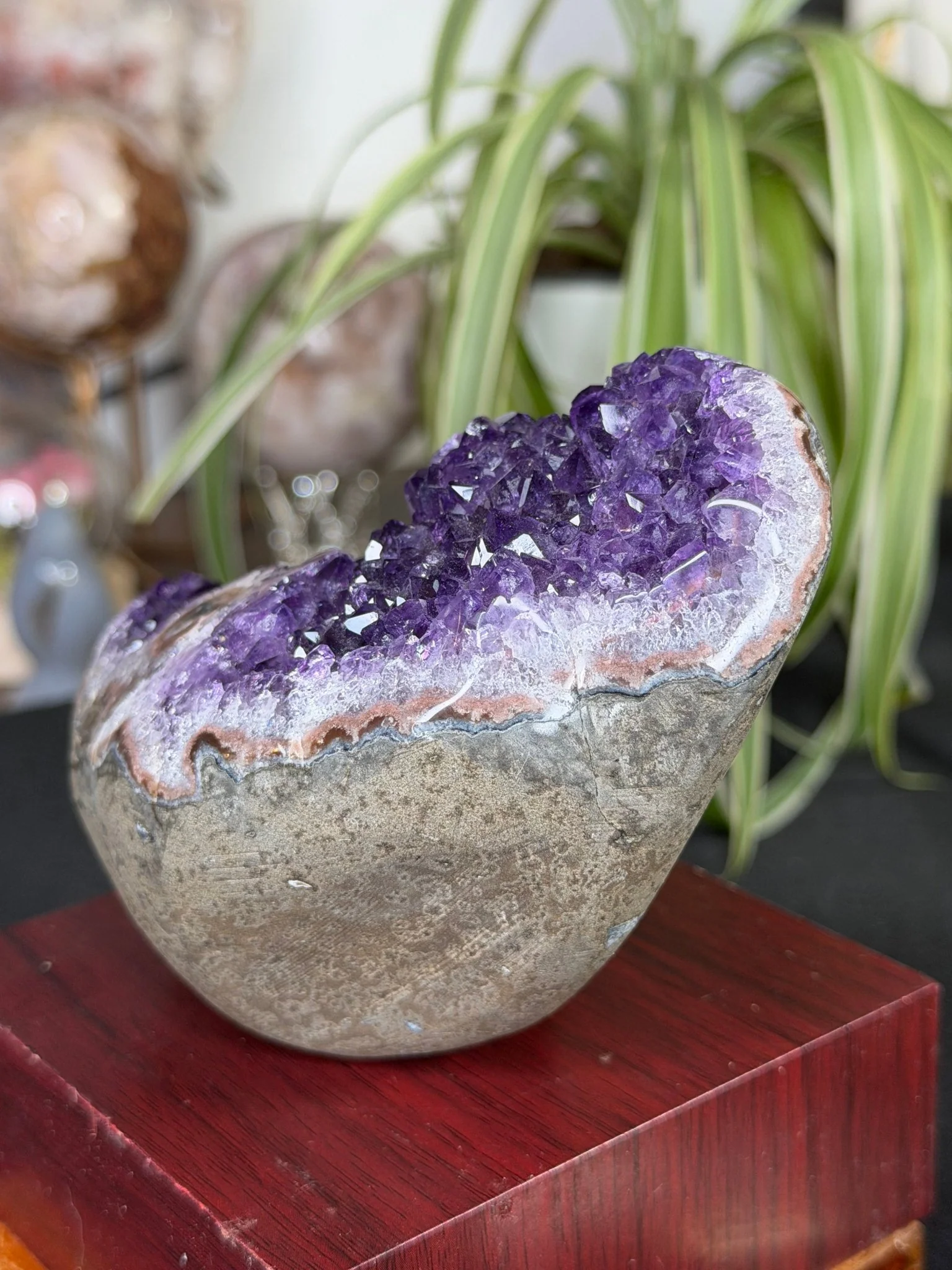 High Quality Amethyst | 704g