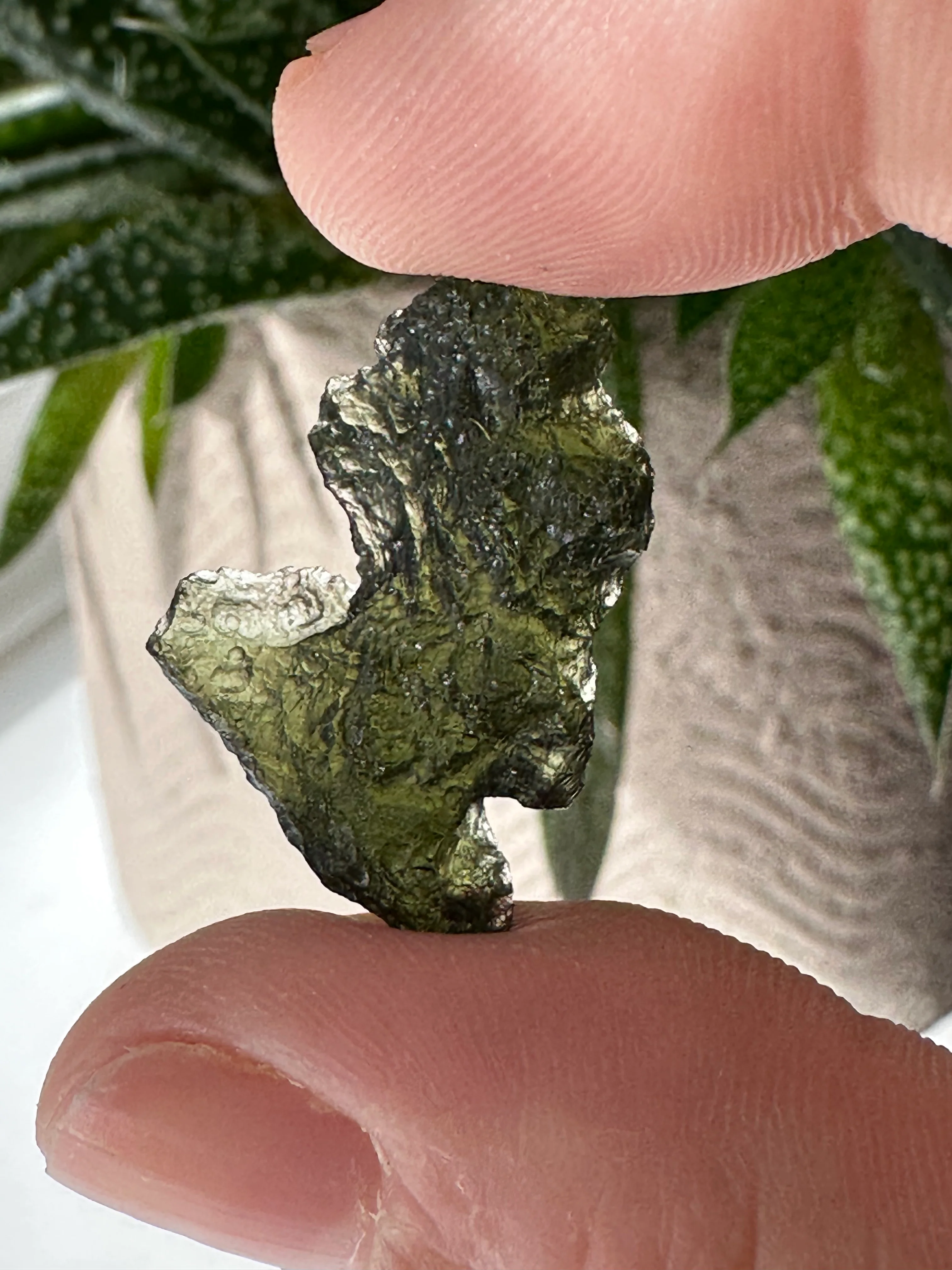 Moldavite Tektite - Museum Grade |  2.4g