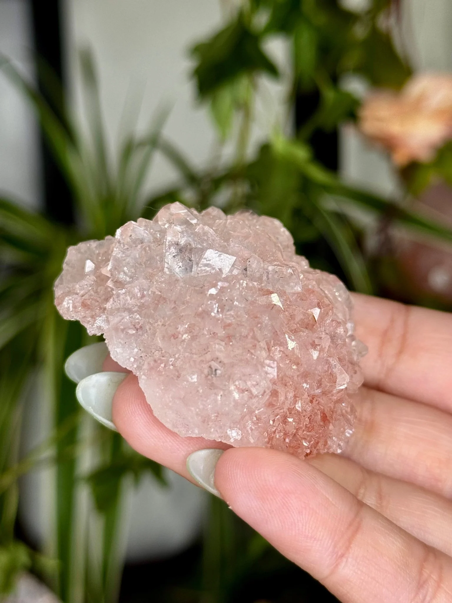 Pink Apophyllite Cluster | 57g