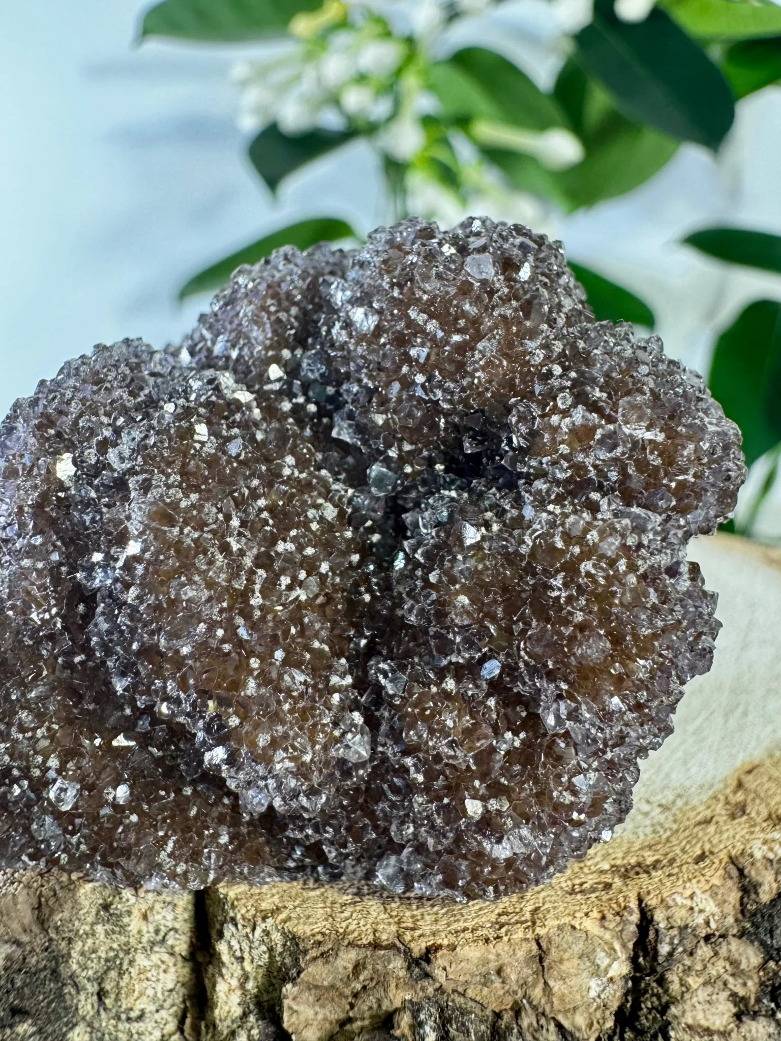 High Quality Amethyst Cluster with Hematite | 102g