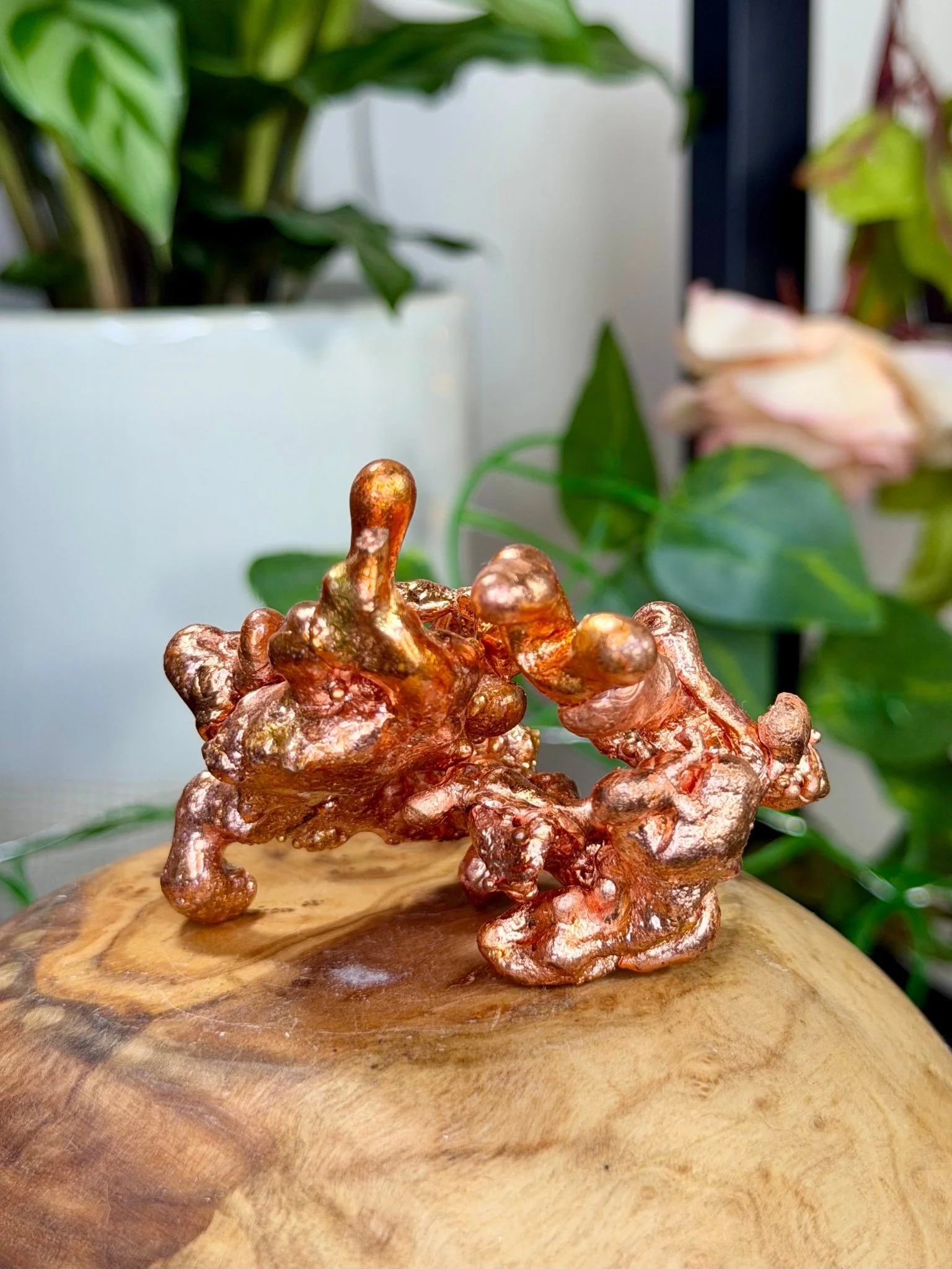 Sculpted Copper | 116g