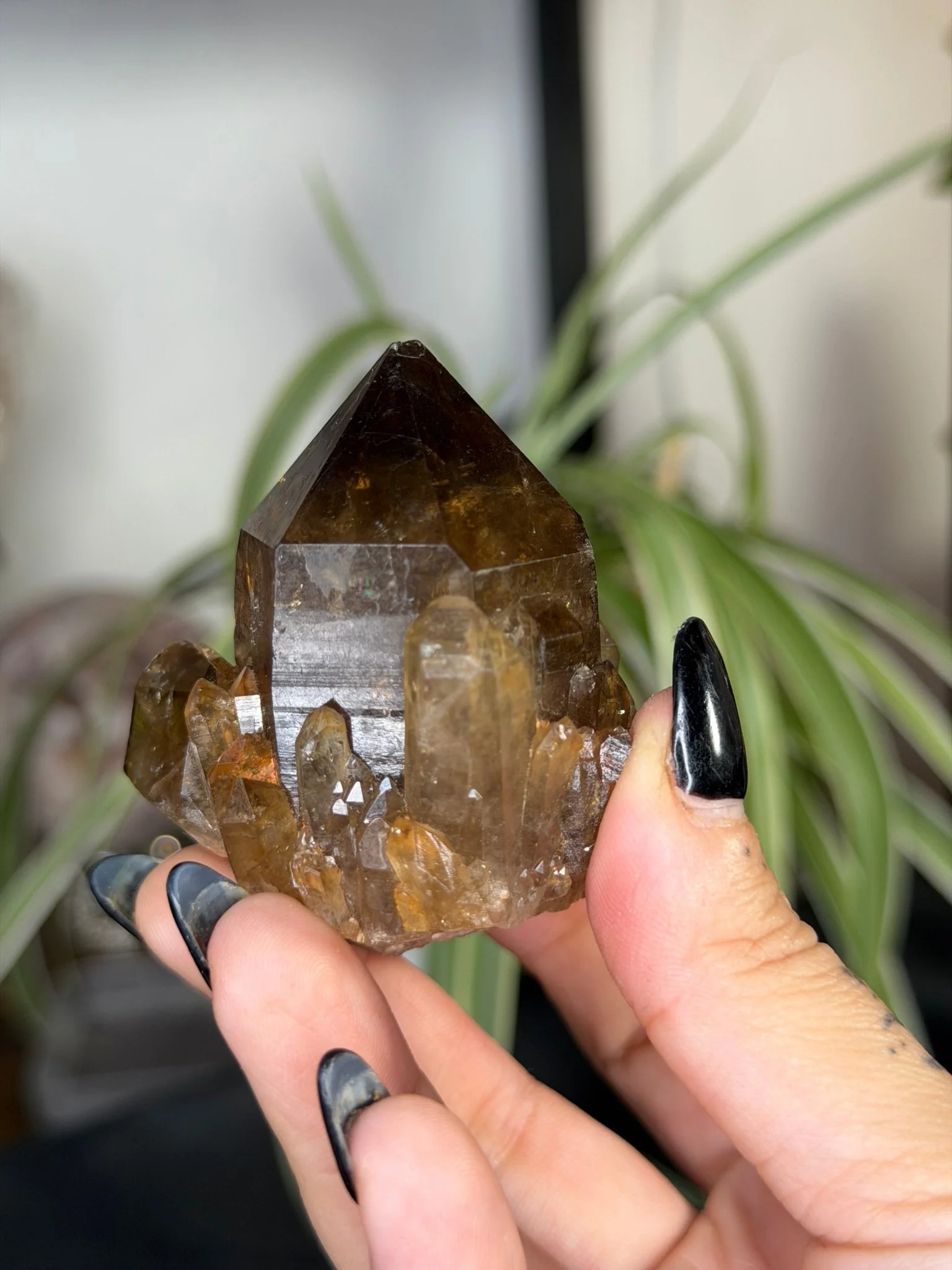 Natural Congo ('Kundalini) Citrine | 129g