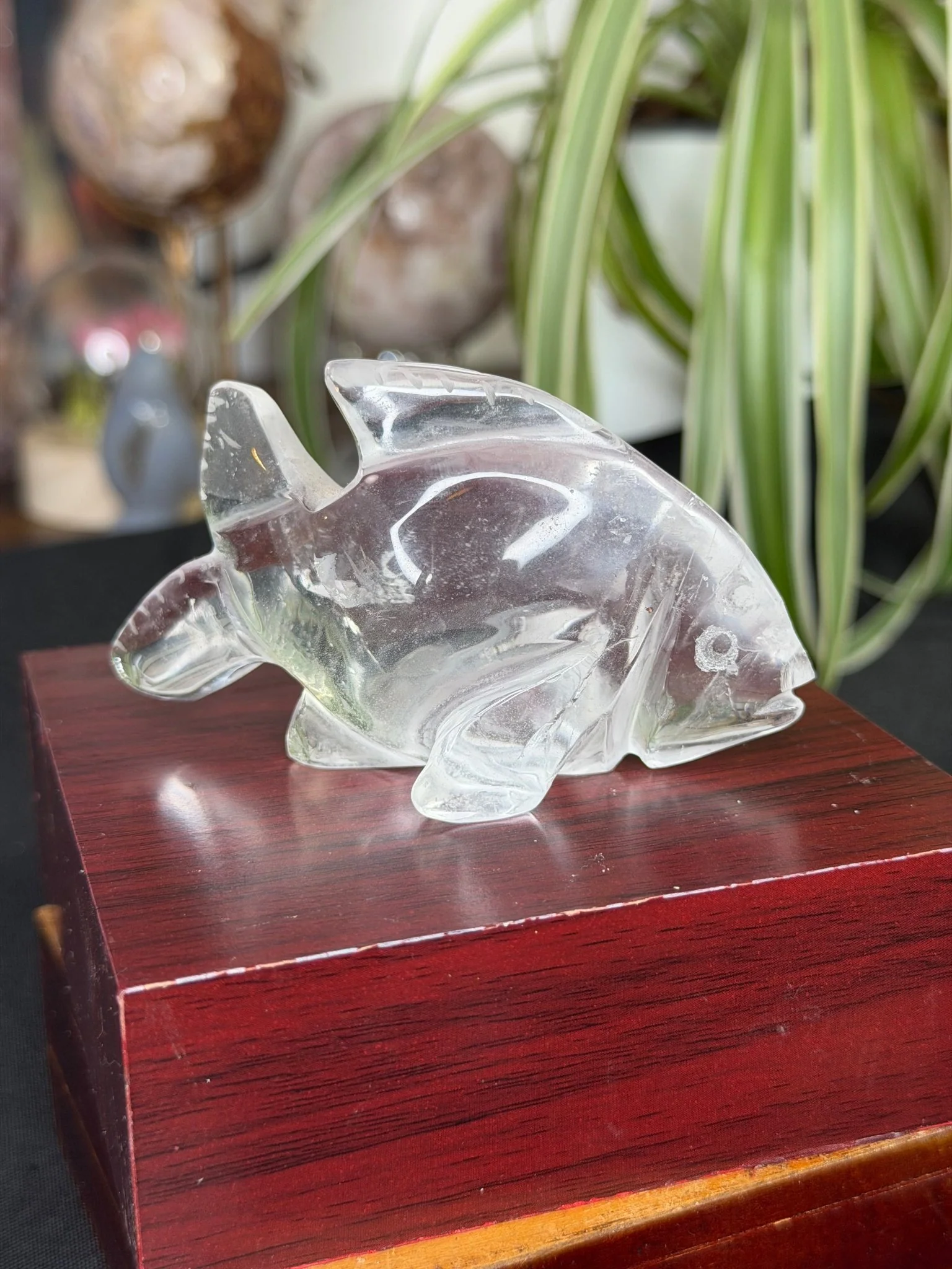 Clear Quartz Fish | 109g