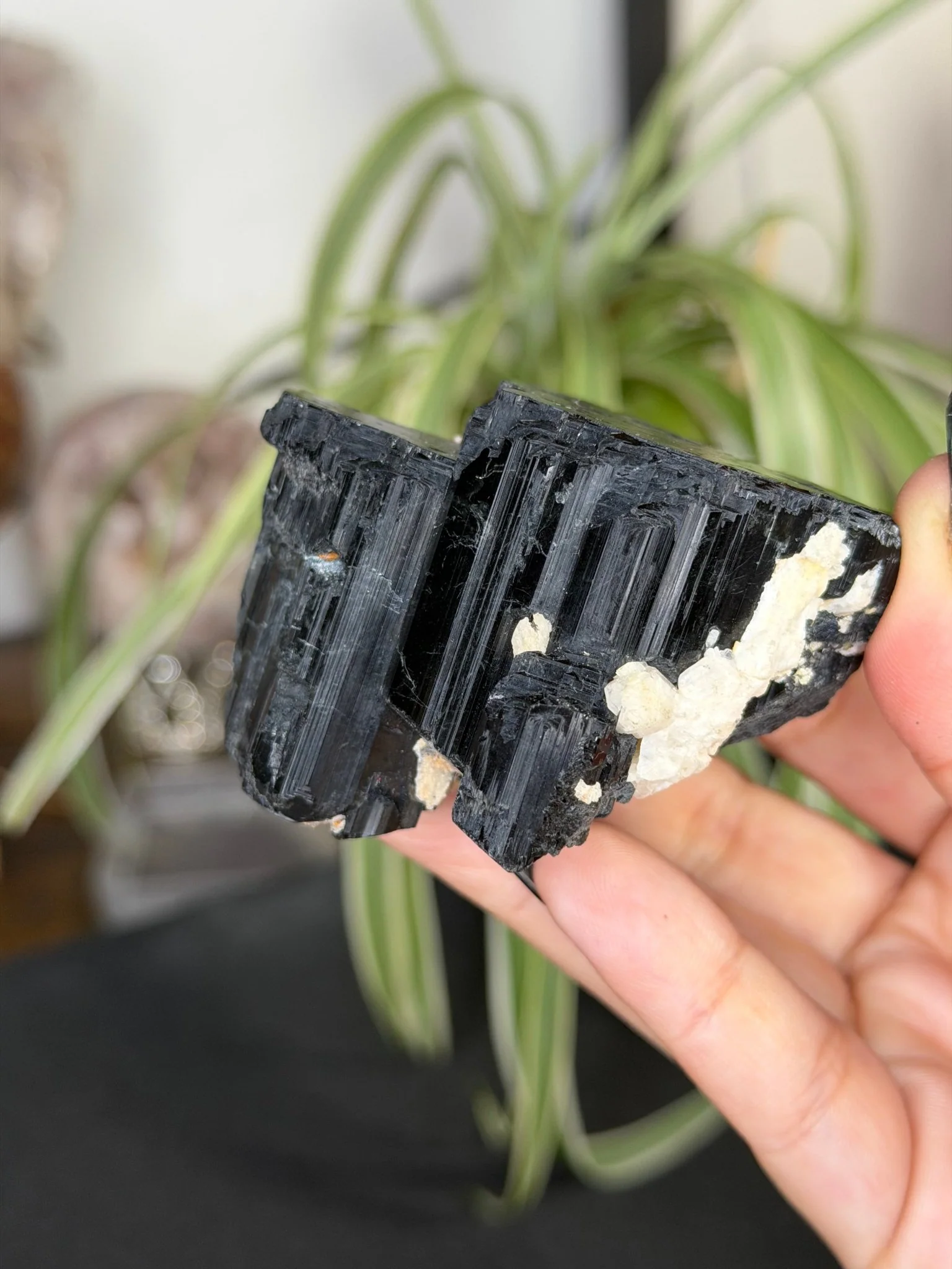 Record Keeper Tourmaline| 165g