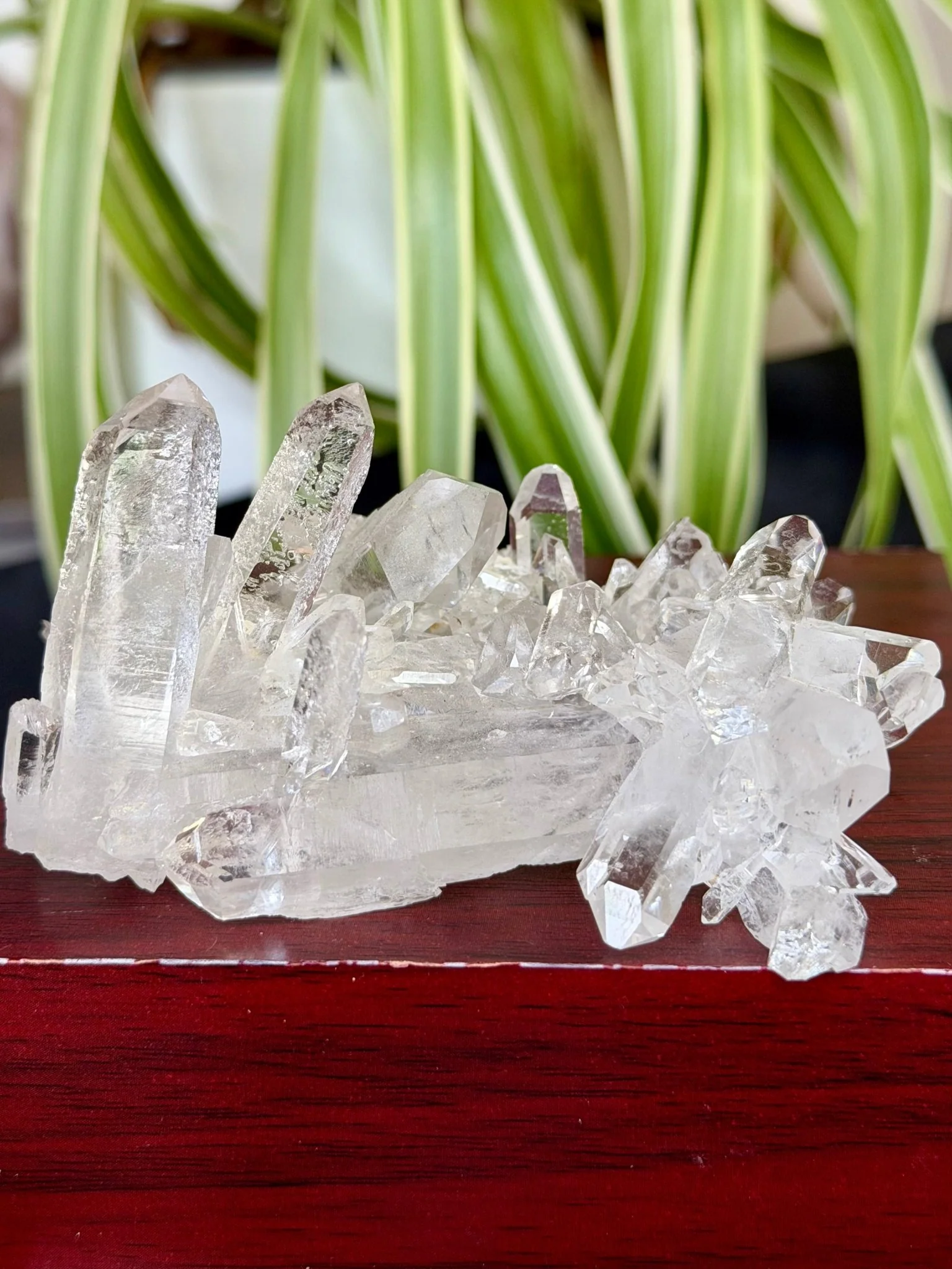 High Quality Clear Quartz Cluster |106g