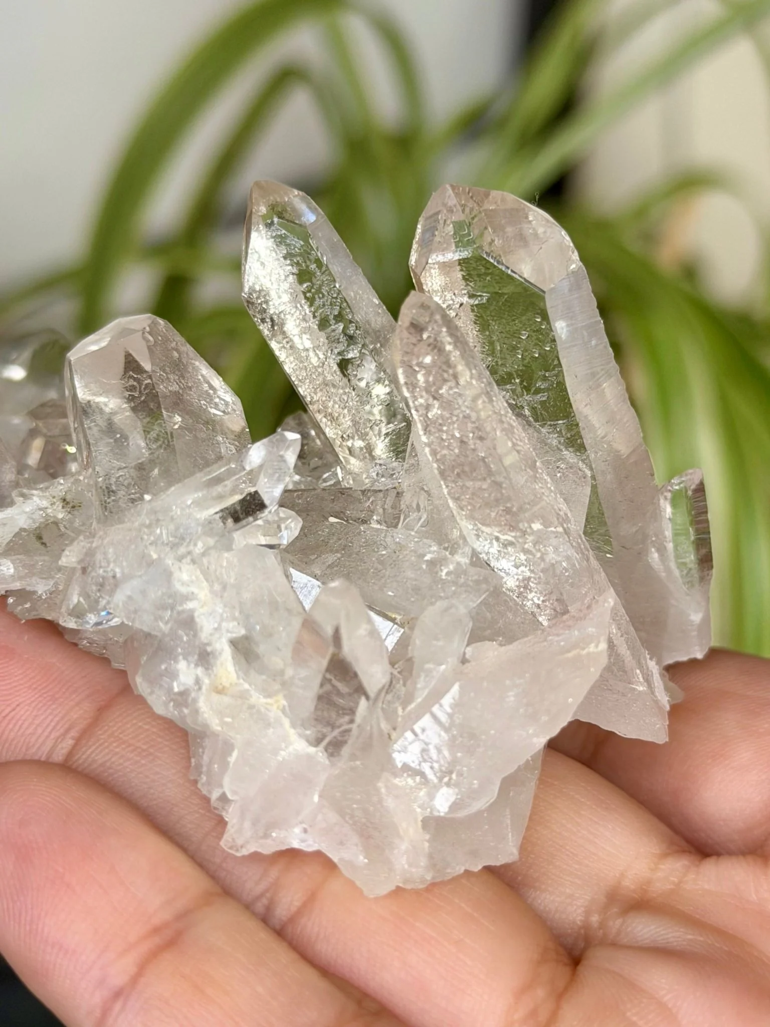 High Quality Clear Quartz Cluster |106g
