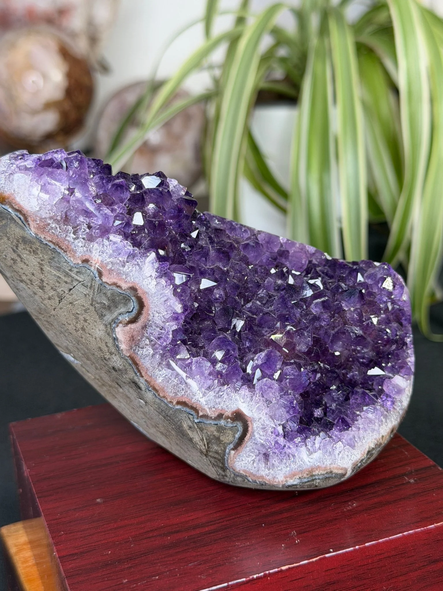 High Quality Amethyst | 704g