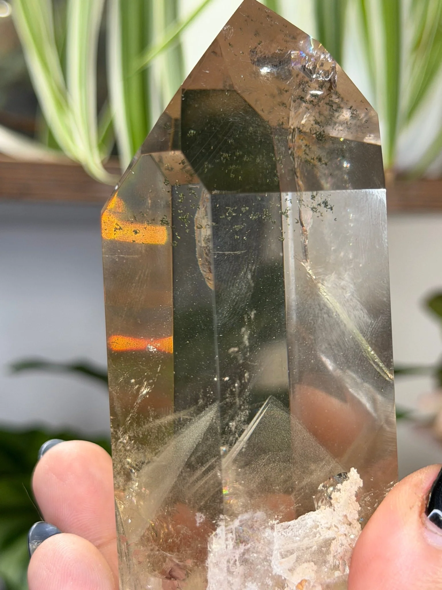 High Quality Natural Brazilian Champagne Citrine with Phanthon | 360g