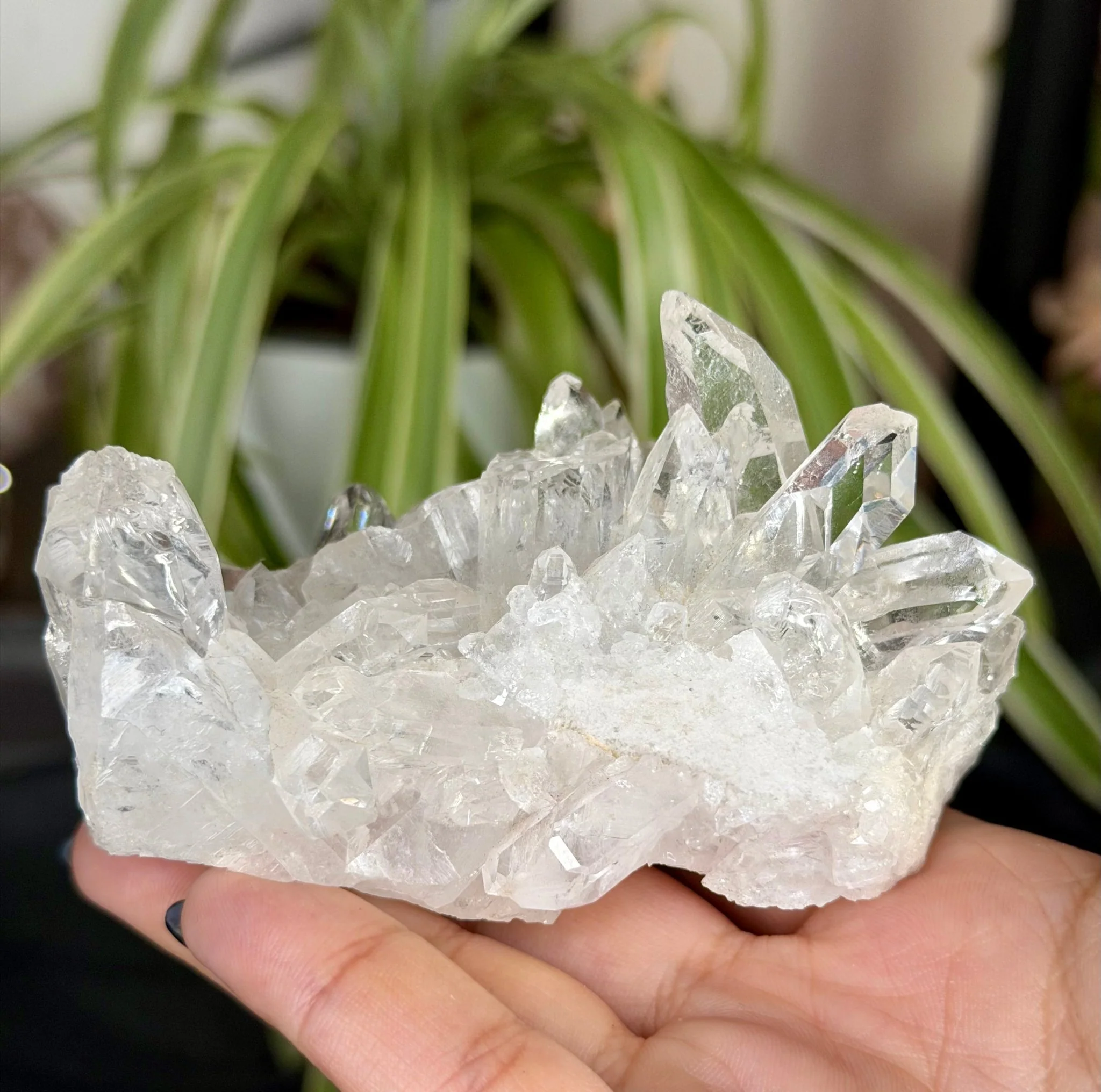 Clear Quartz Cluster |196g