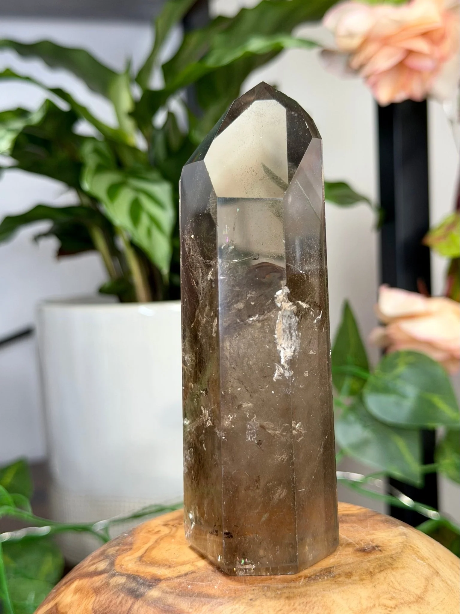 High Quality Natural Brazilian Honey Citrine with Phanthon | 211g