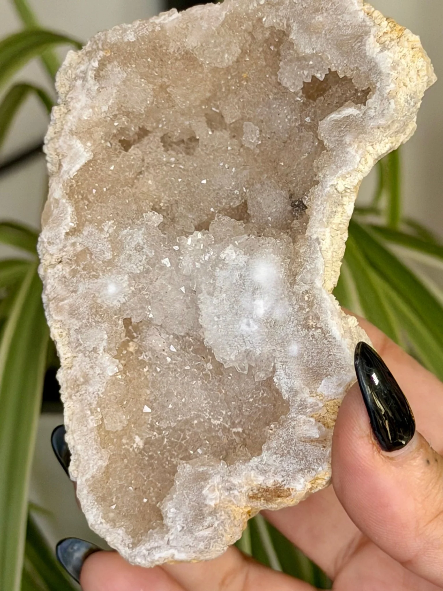 Quartz Geode | 144g