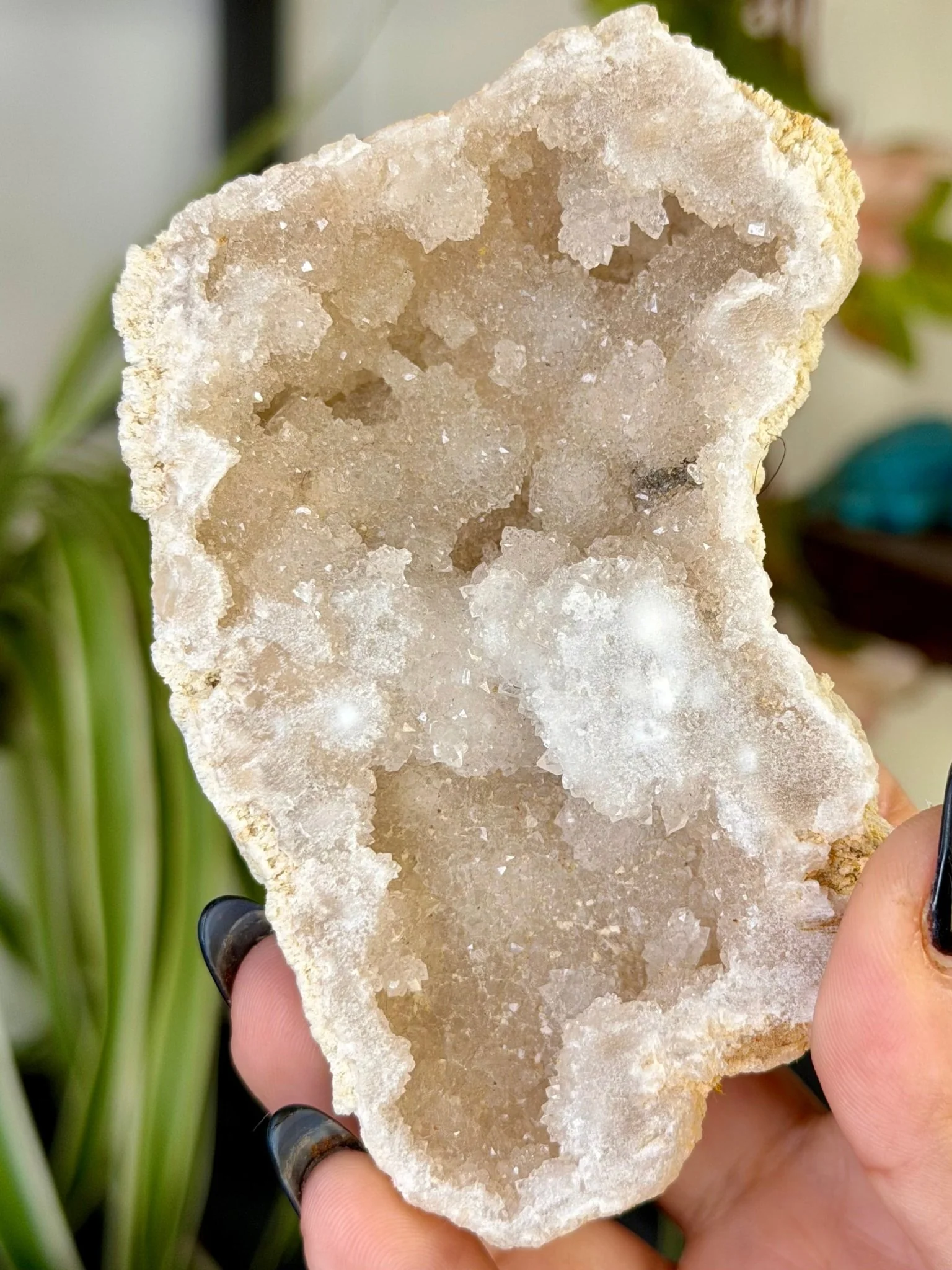 Quartz Geode | 144g