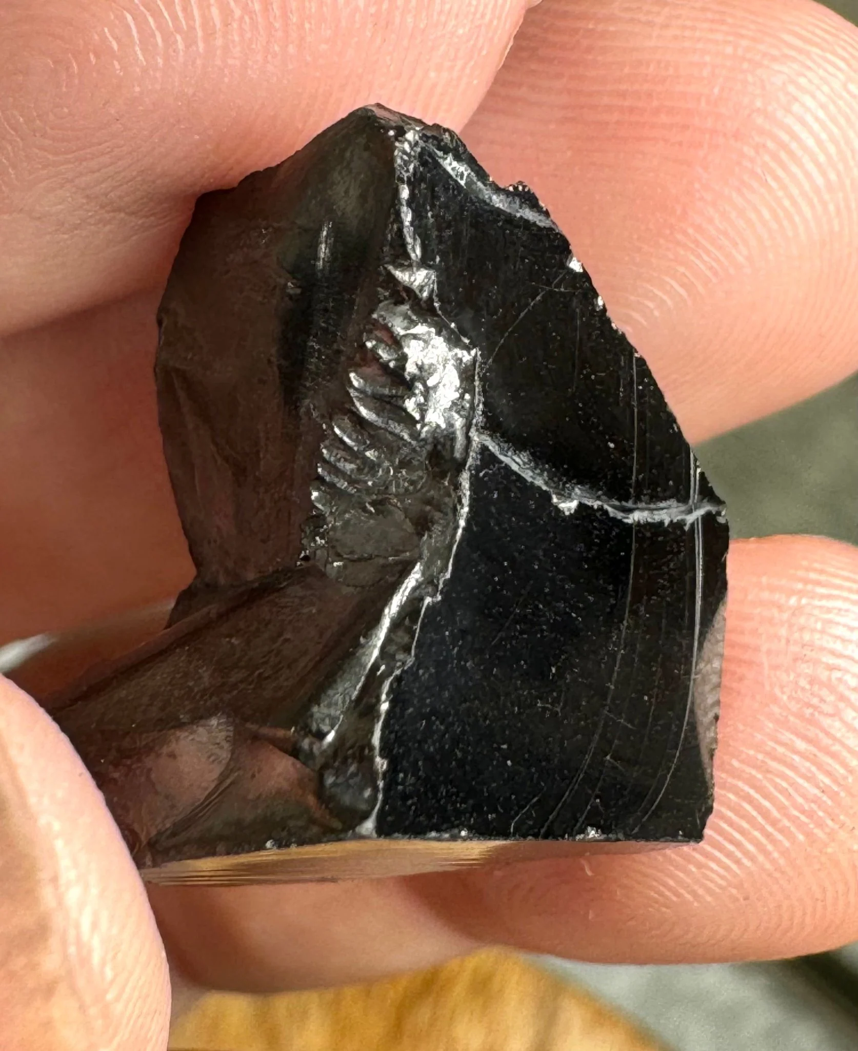A Quality Tiny Elite Shungite | 1.8 cm