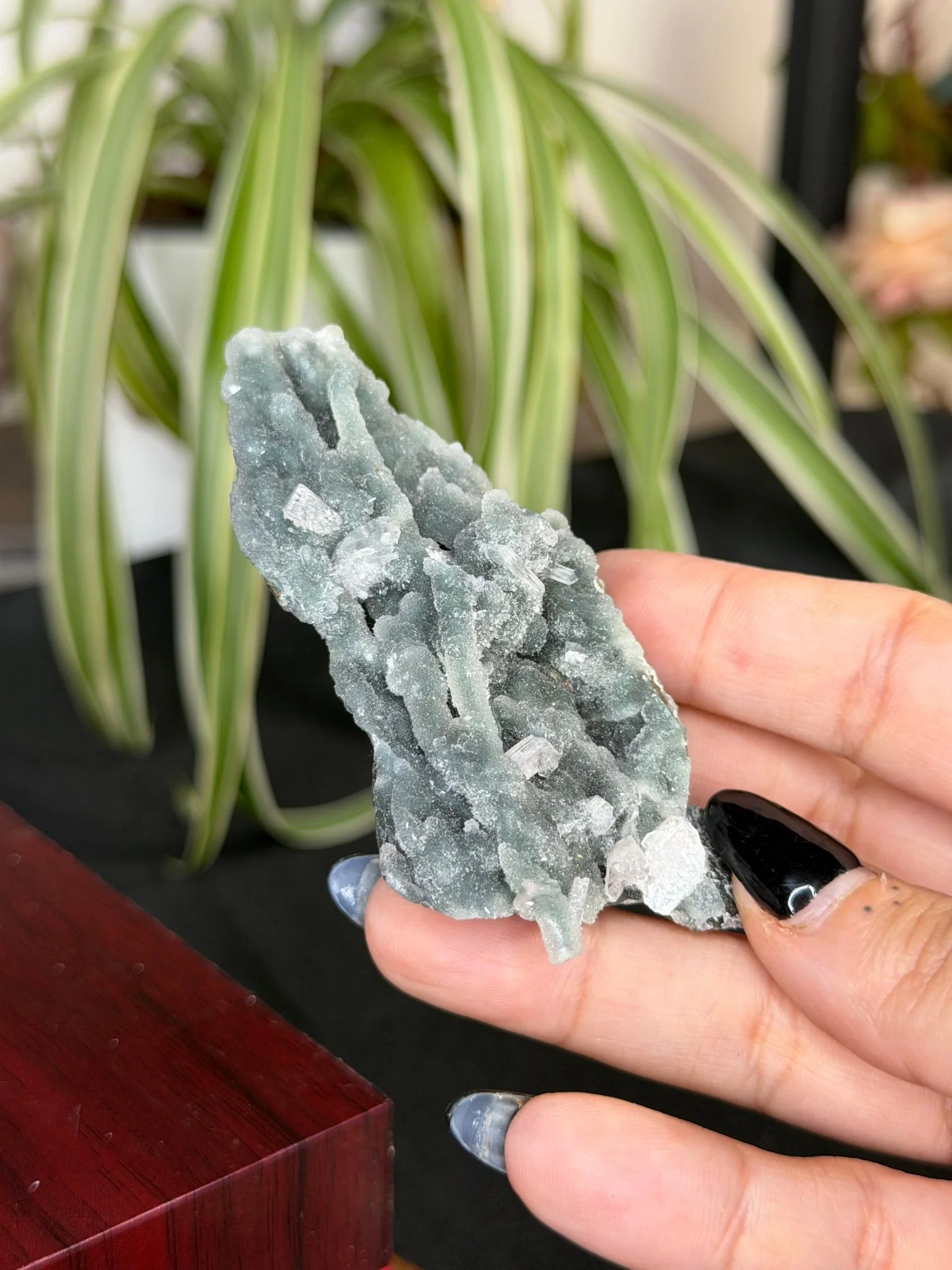 Chalcedony Apophyllite | 42g