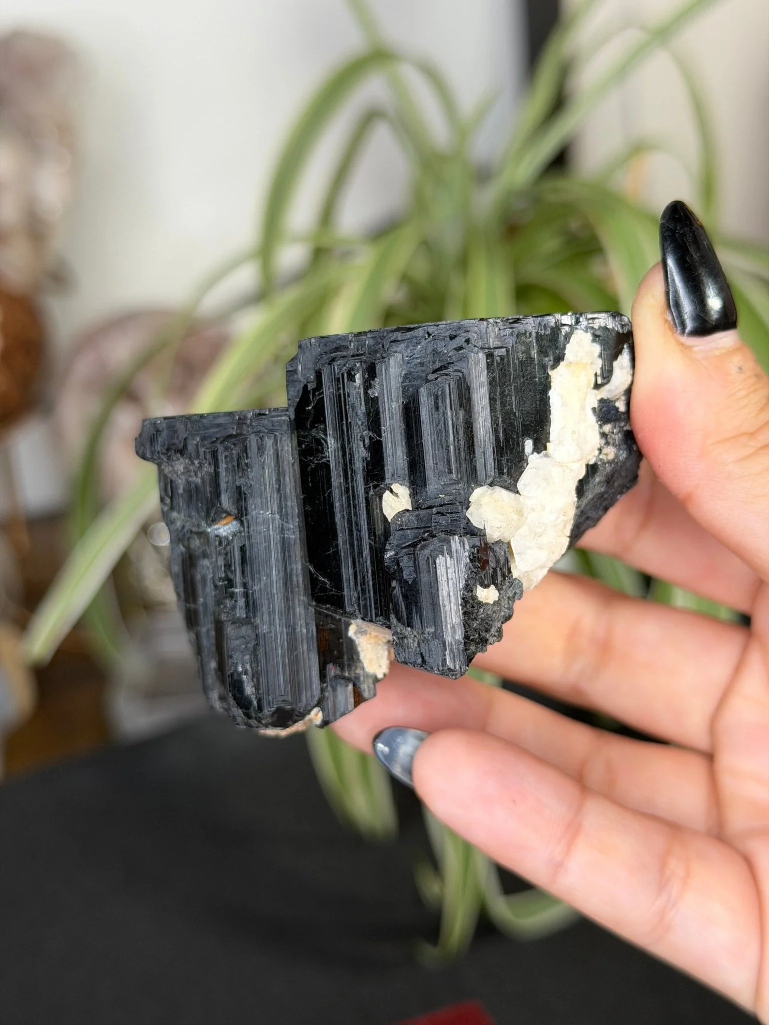 Record Keeper Tourmaline| 165g