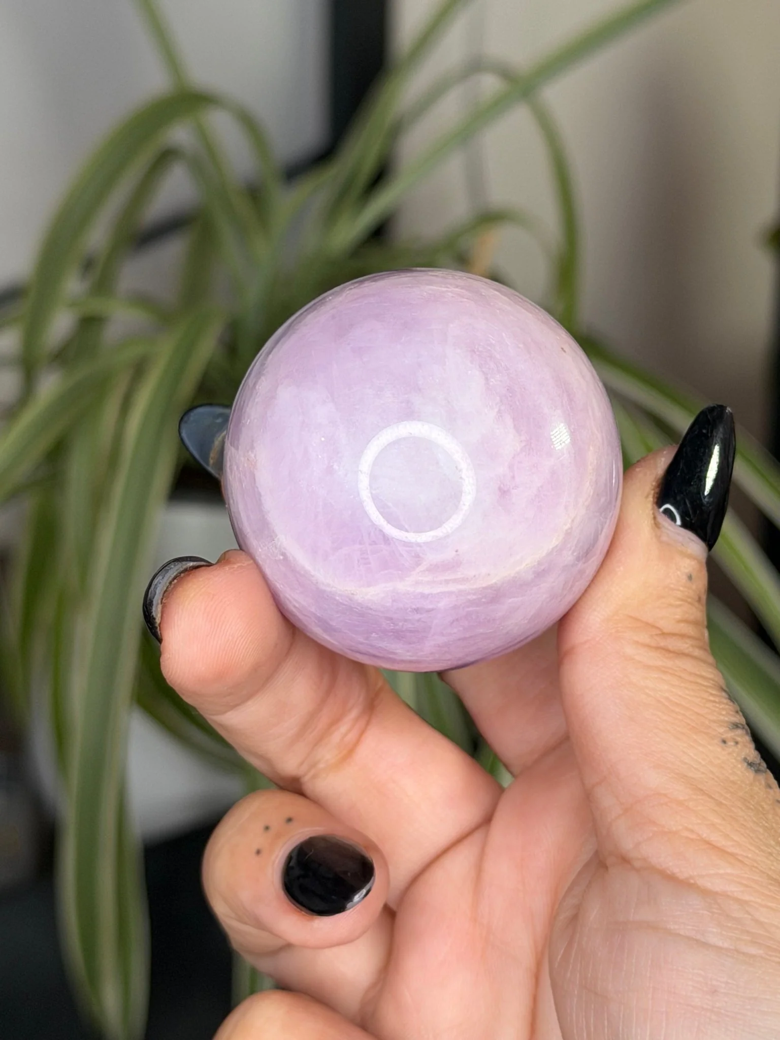 Kunzite Sphere | 126g