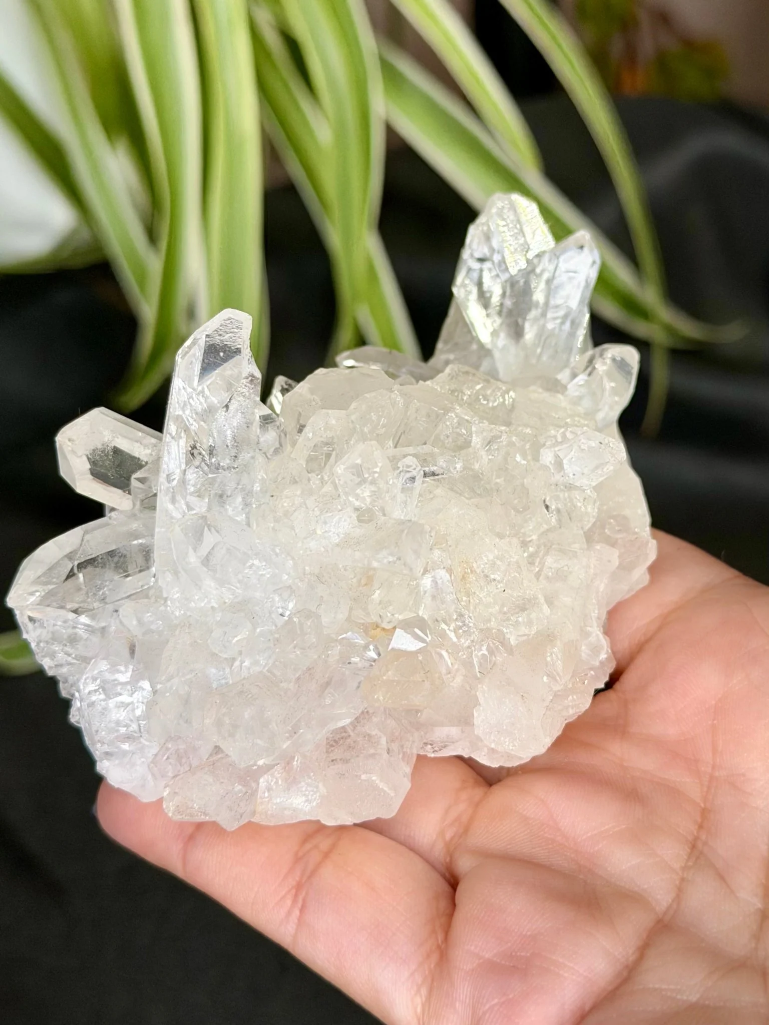 Clear Quartz Cluster |196g