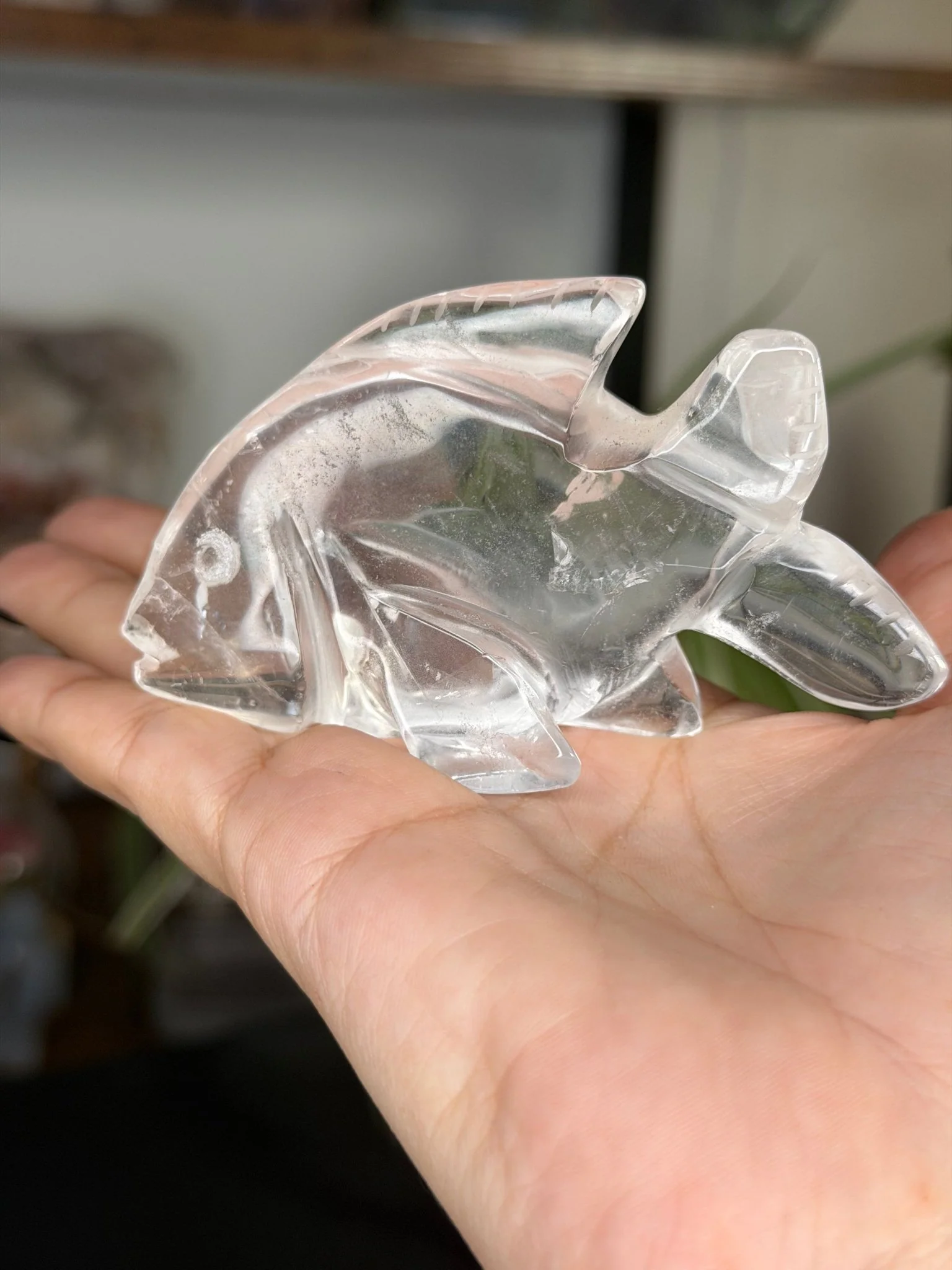 Clear Quartz Fish | 109g