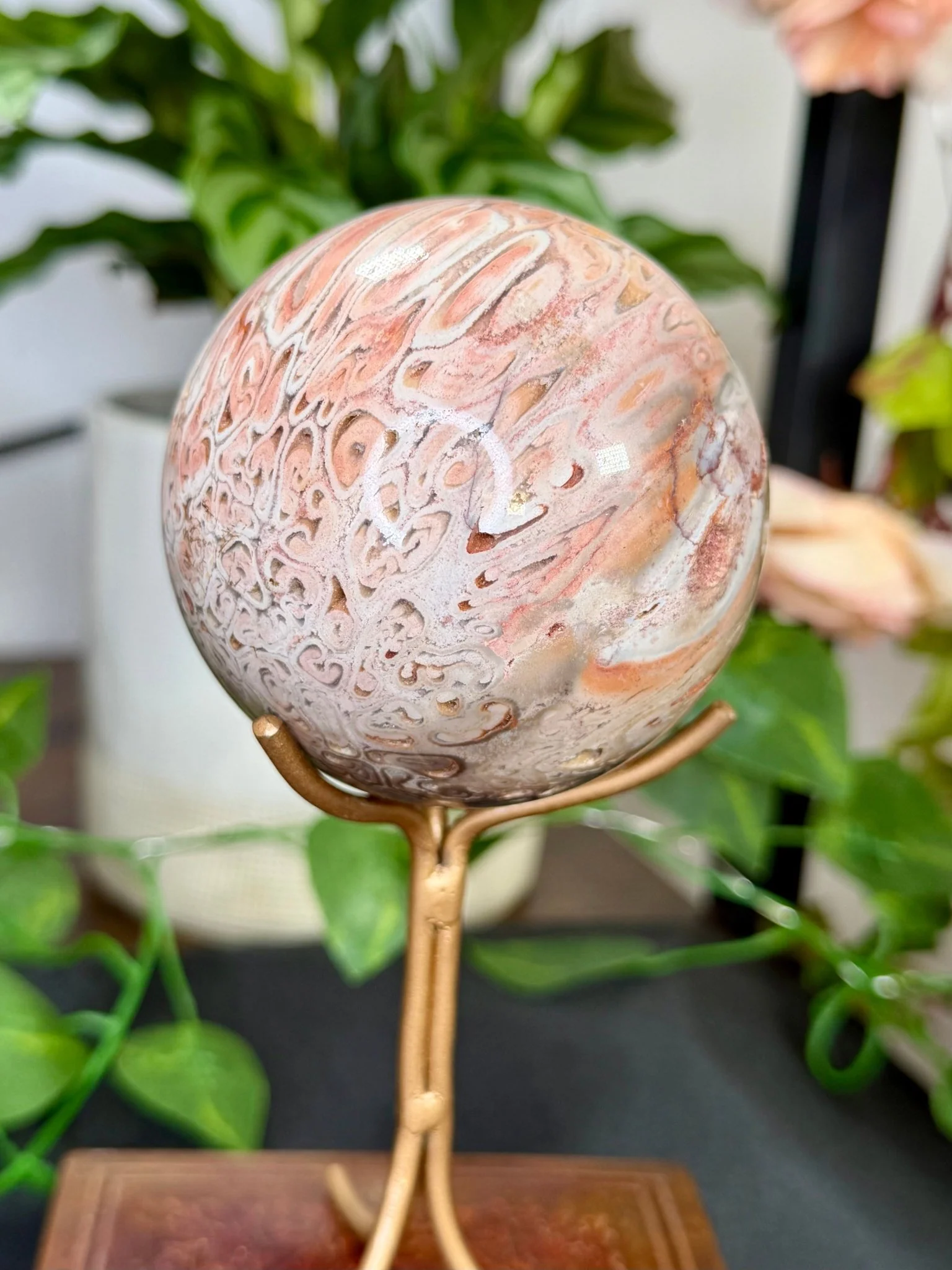 Petrified Wood Sphere | 478g