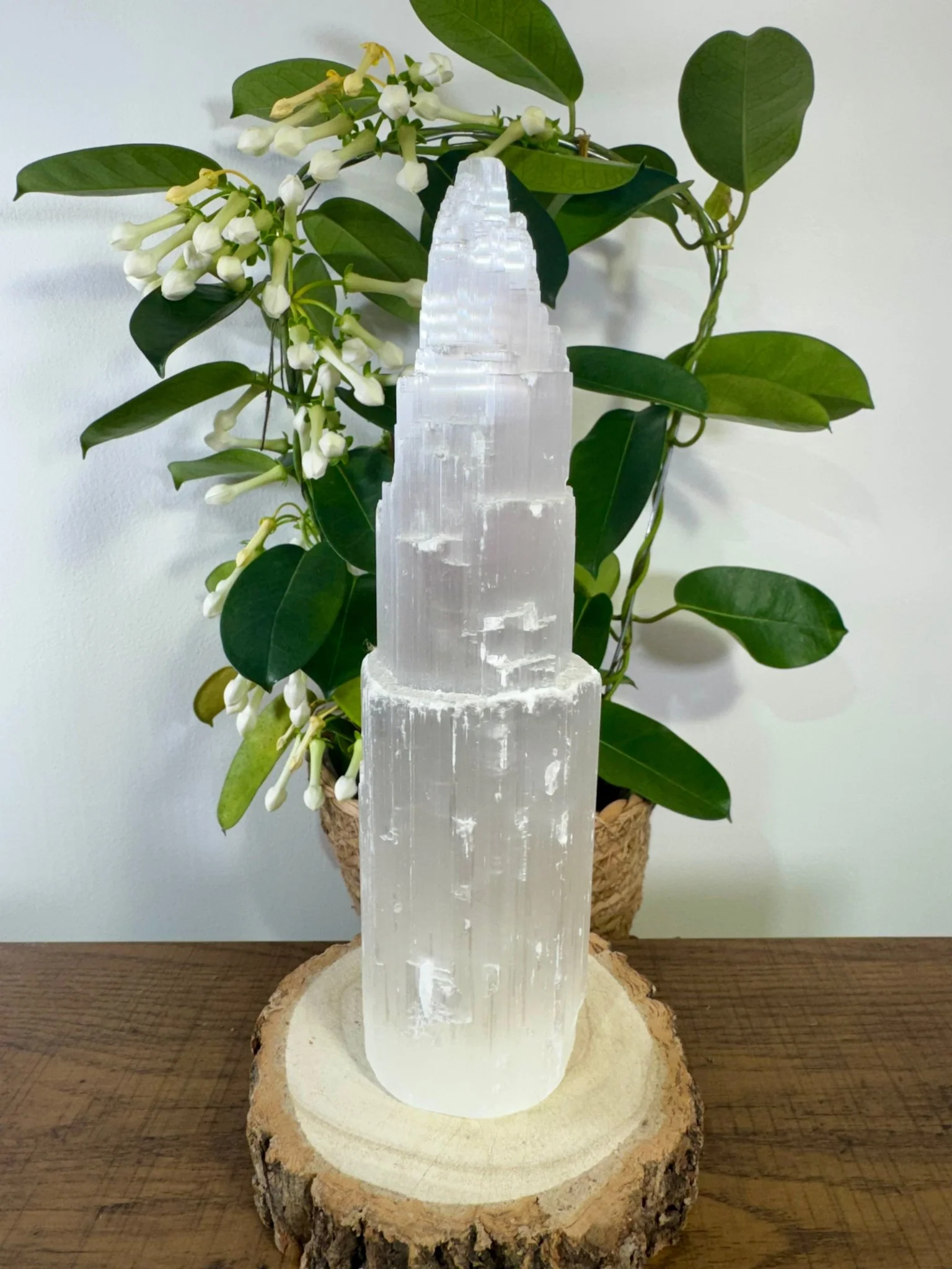 Selenite Tower | 764g