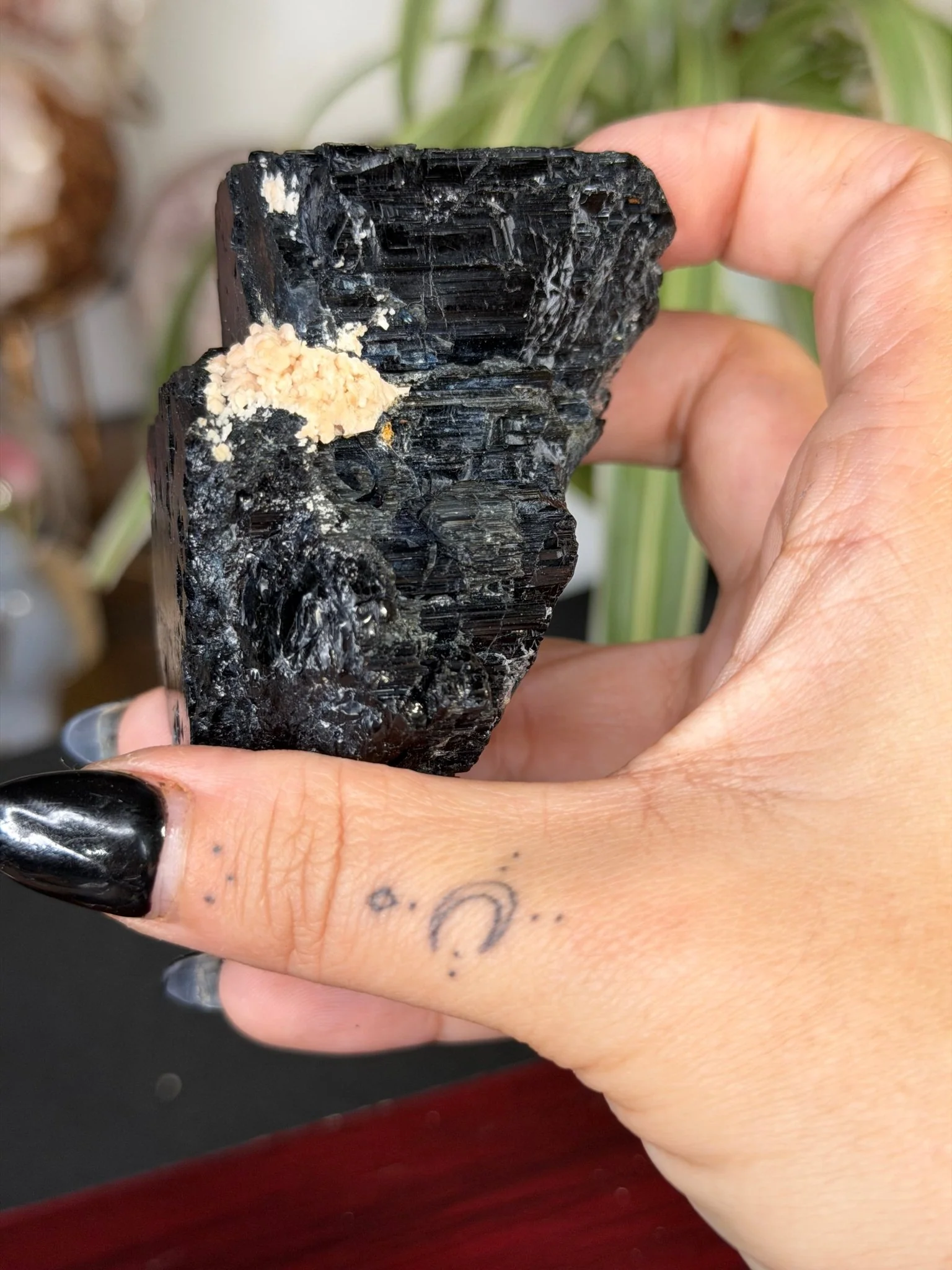 Record Keeper Tourmaline| 165g