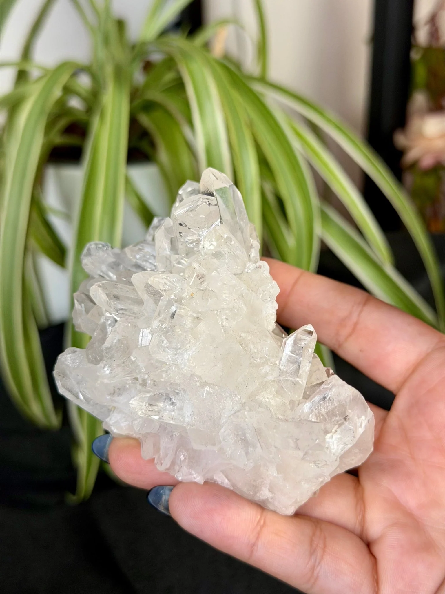 Clear Quartz Cluster |196g