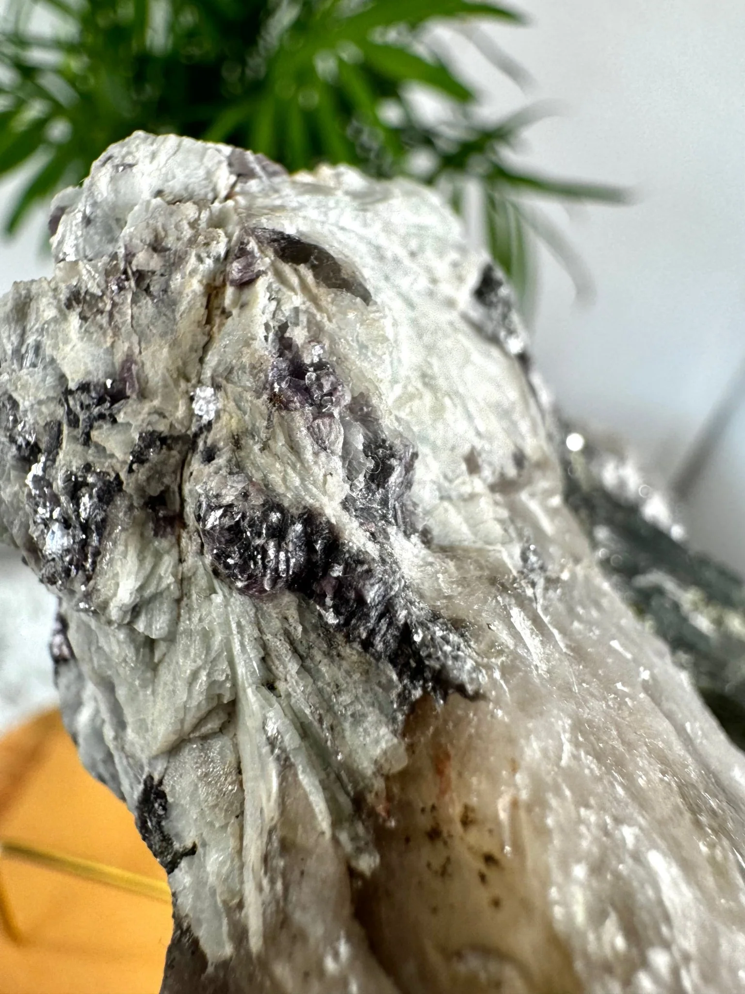 Collector's Item - Natural Green & Pink Tourmaline on Citrine, Smokey & Quartz with Lepidolite & Mica  | 478g