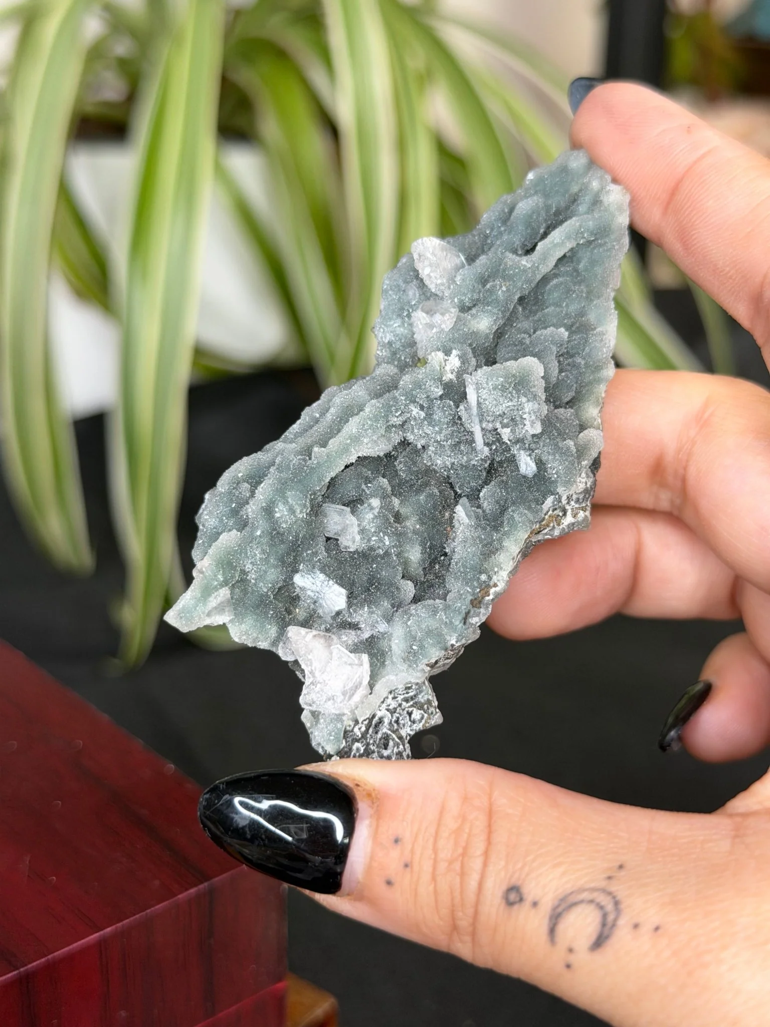 Chalcedony Apophyllite | 42g