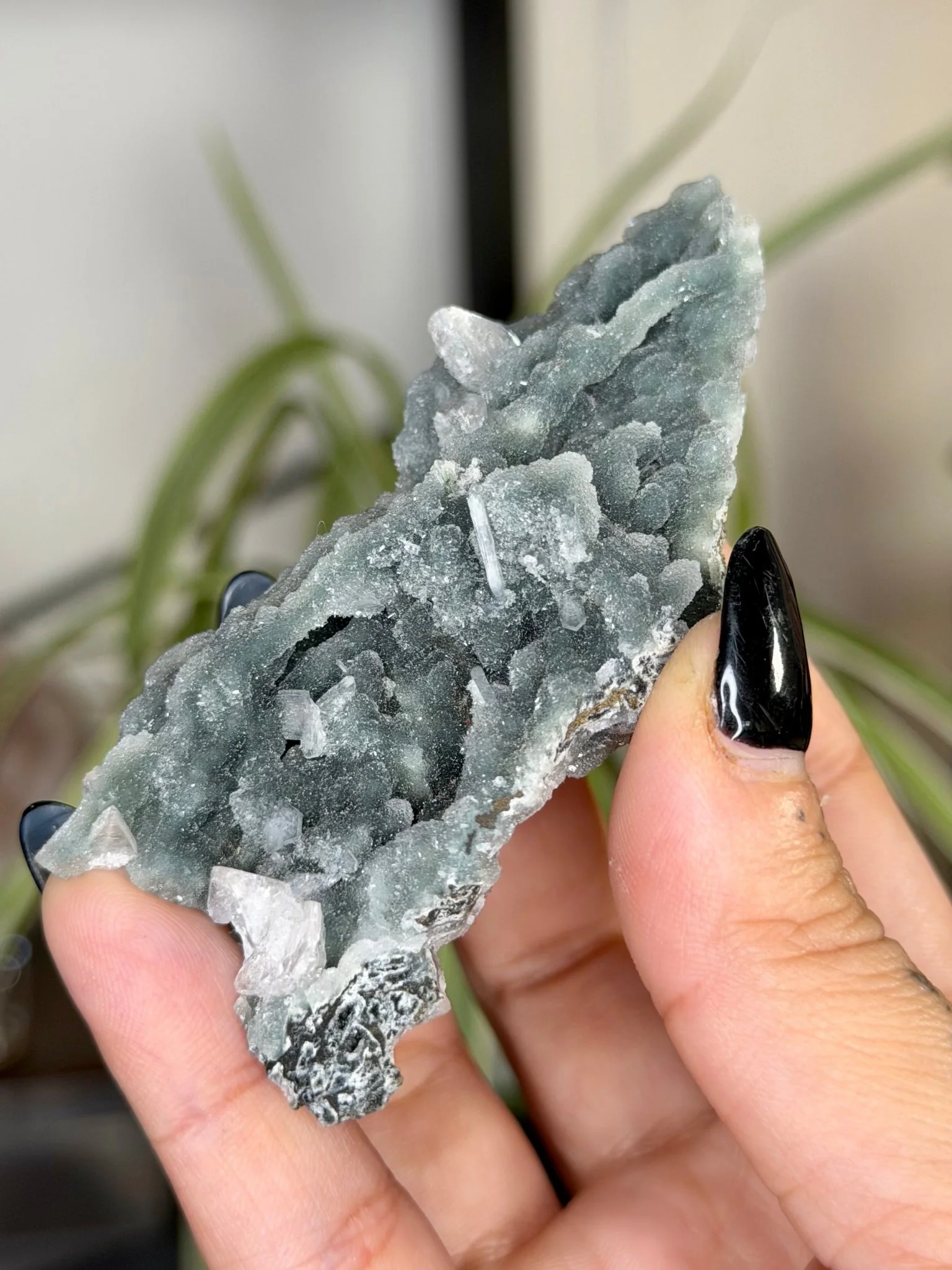 Chalcedony Apophyllite | 42g