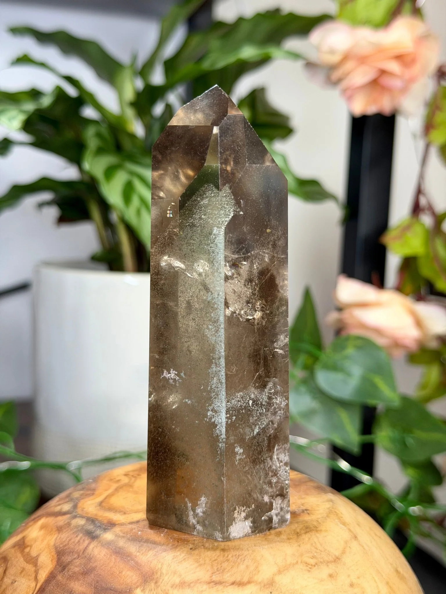 High Quality Natural Brazilian Honey Citrine with Phanthon | 211g