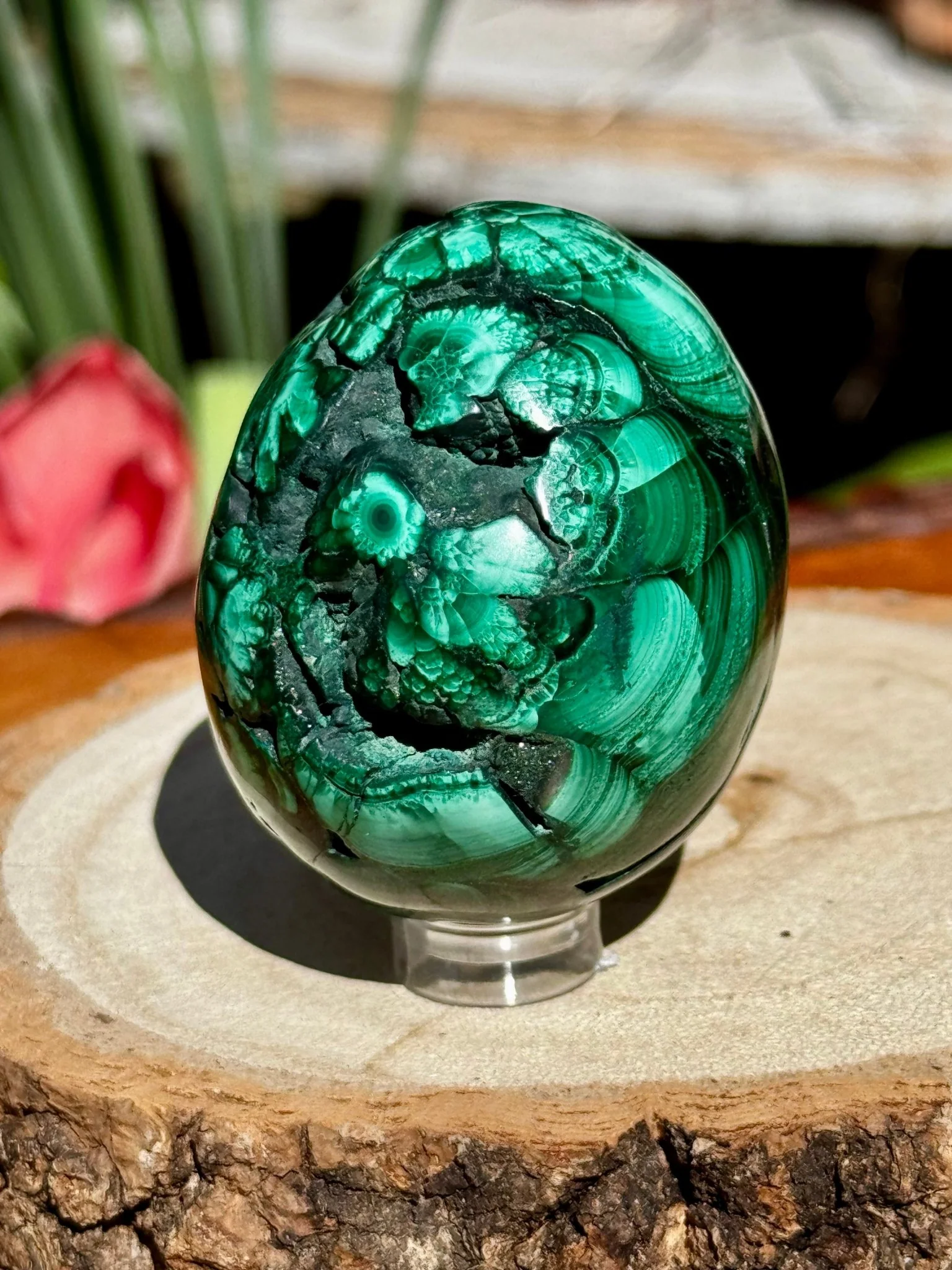 Malachite egg | 178g