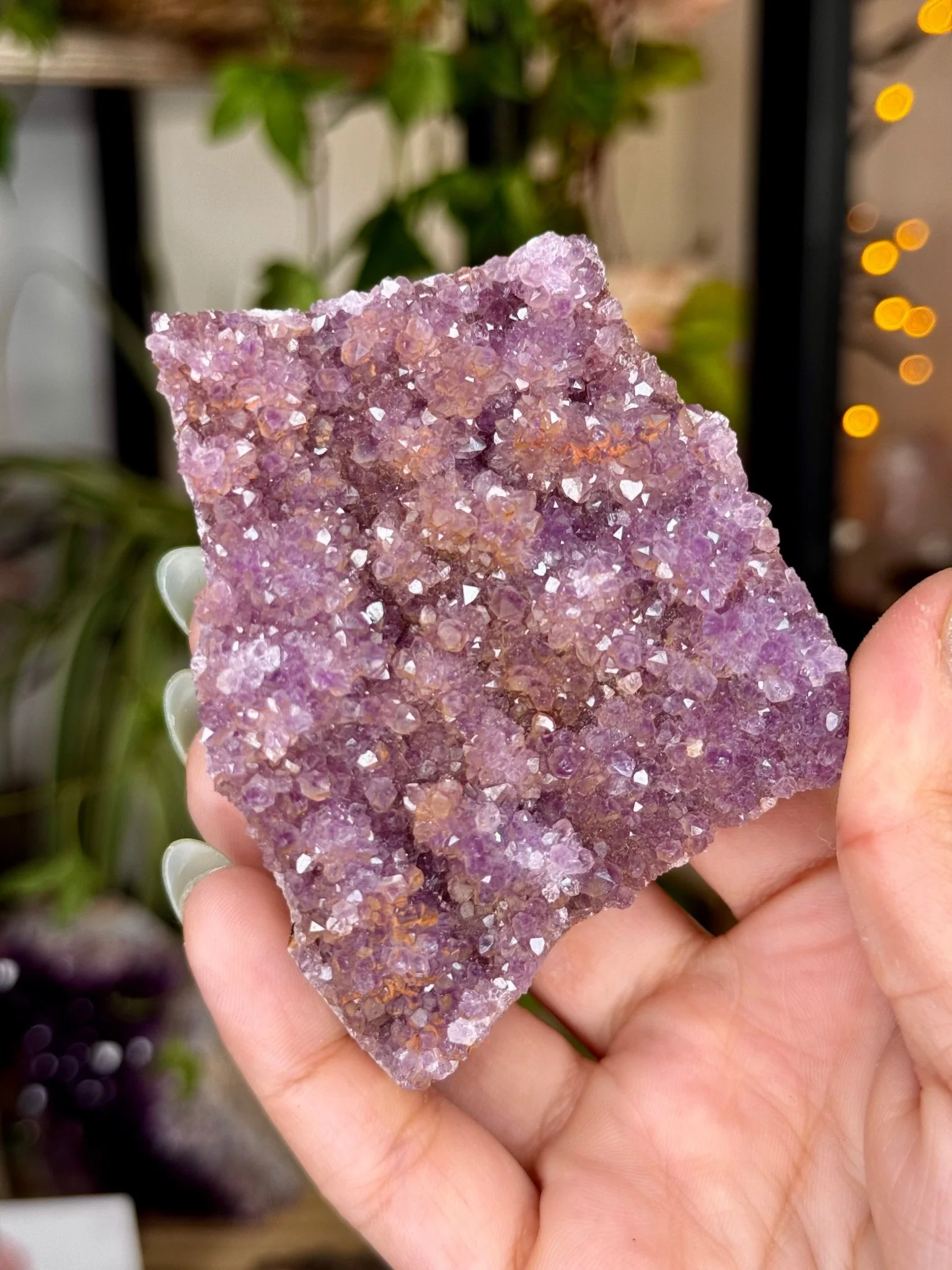 Alacam Amethyst Cluster | 152g
