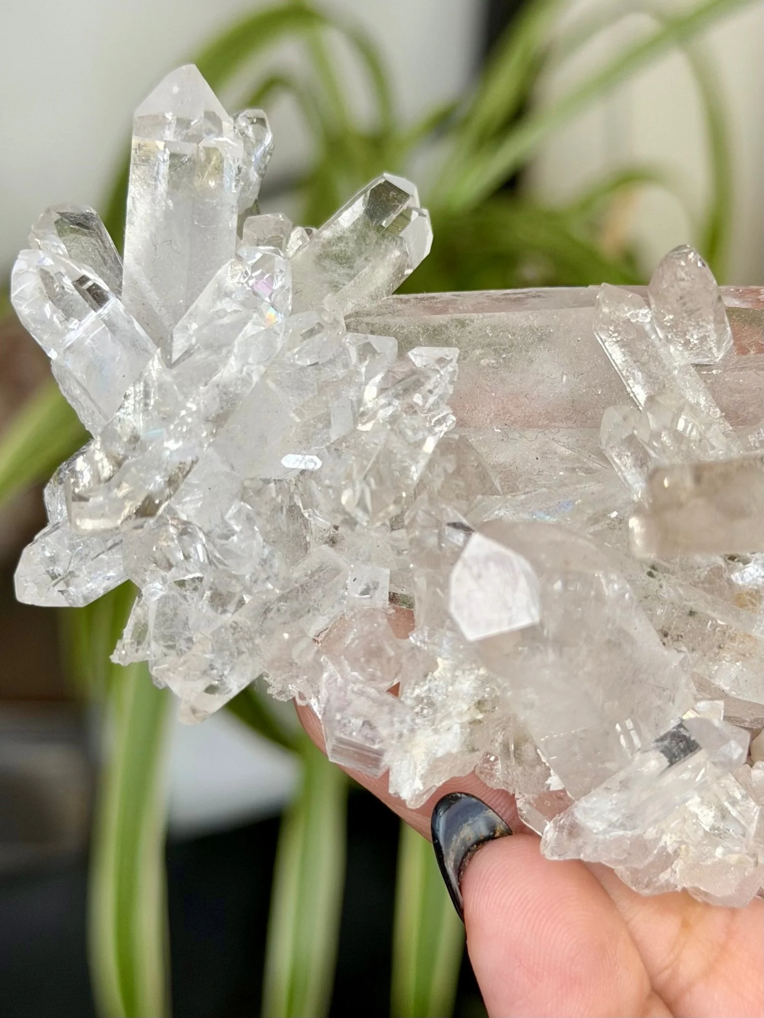 High Quality Clear Quartz Cluster |106g