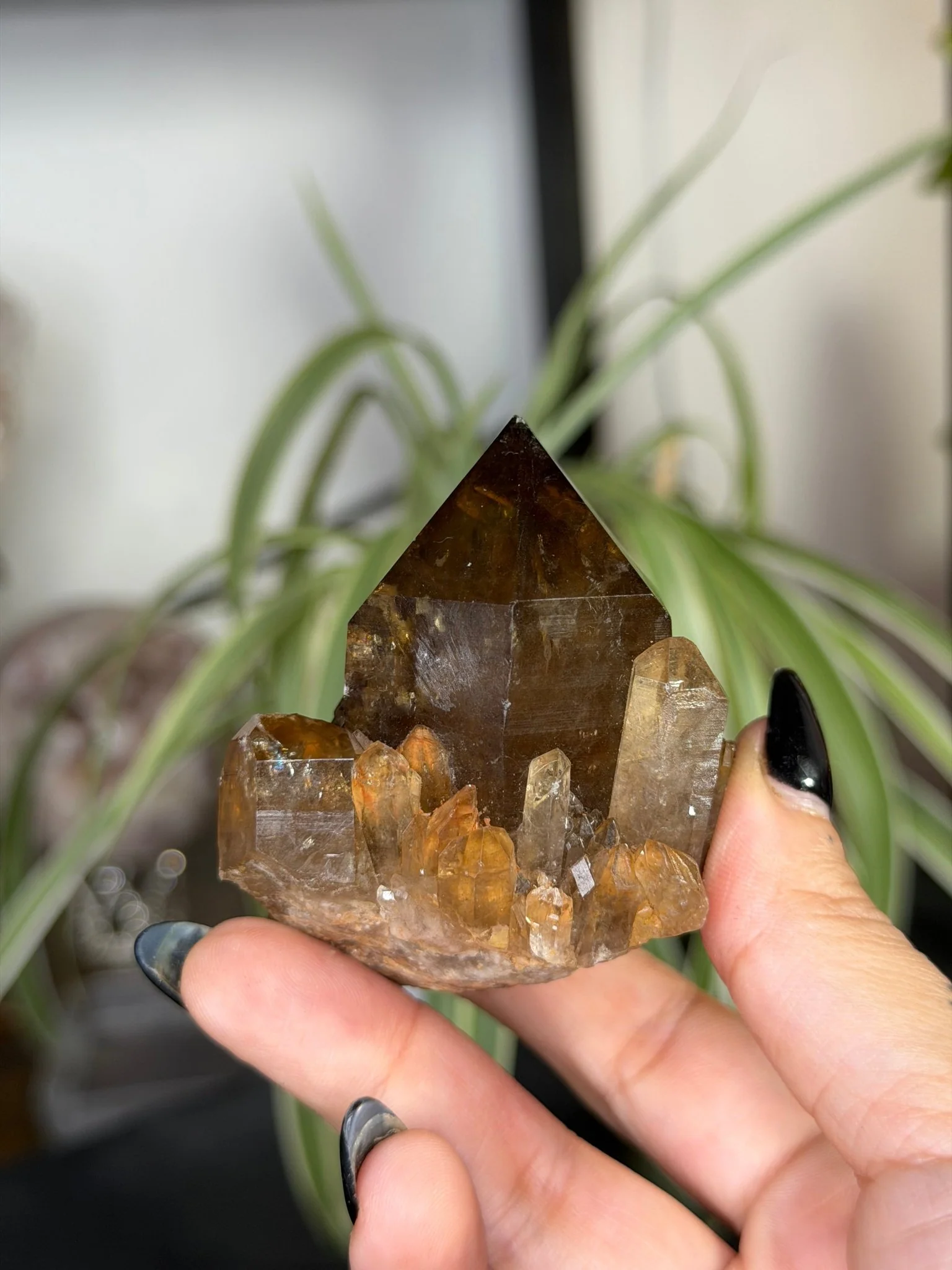 Natural Congo ('Kundalini) Citrine | 129g