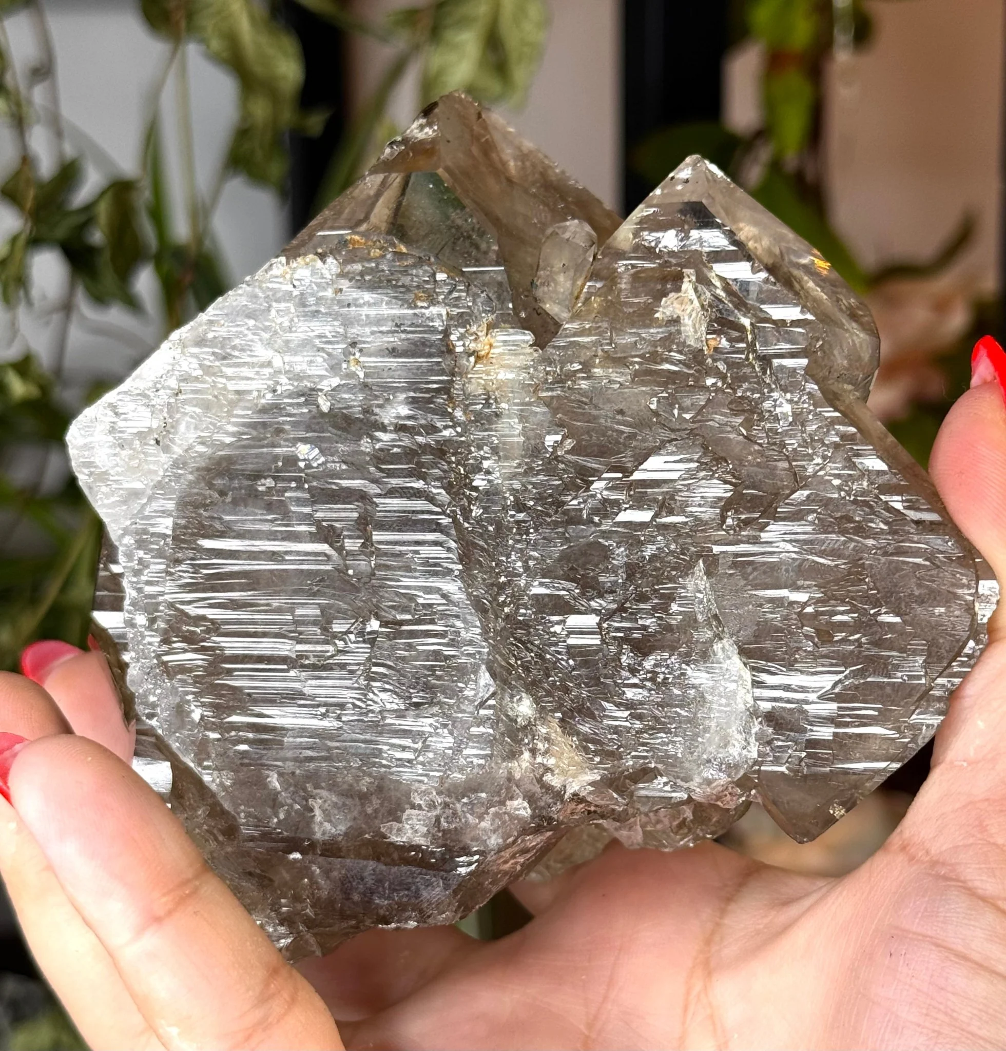Statment Piece ~ Elestial Smokey Quartz | 575g