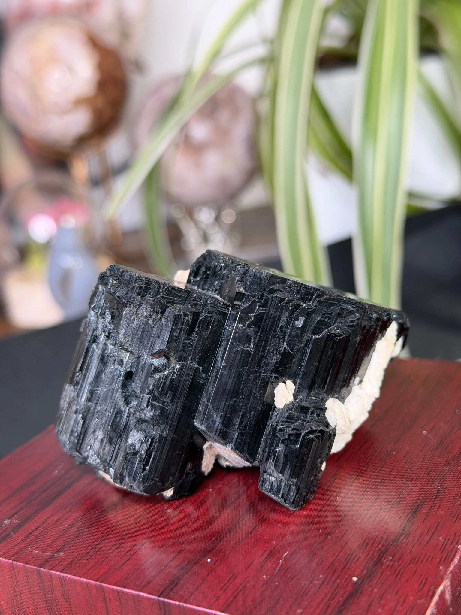 Record Keeper Tourmaline| 165g