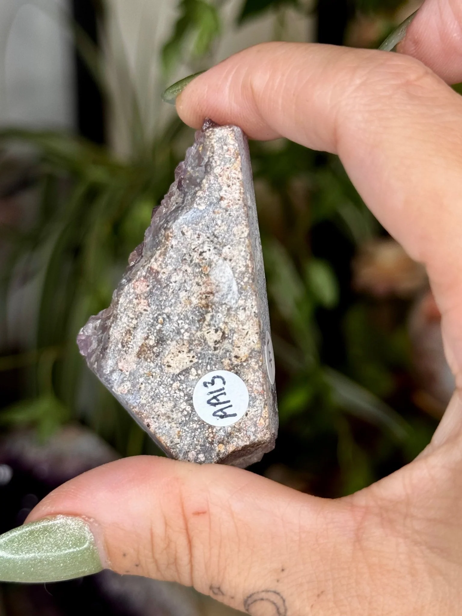 Alacam Amethyst Cluster | 49g