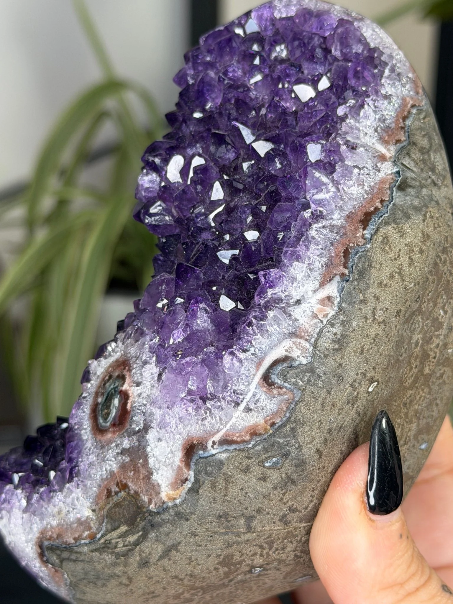High Quality Amethyst | 704g