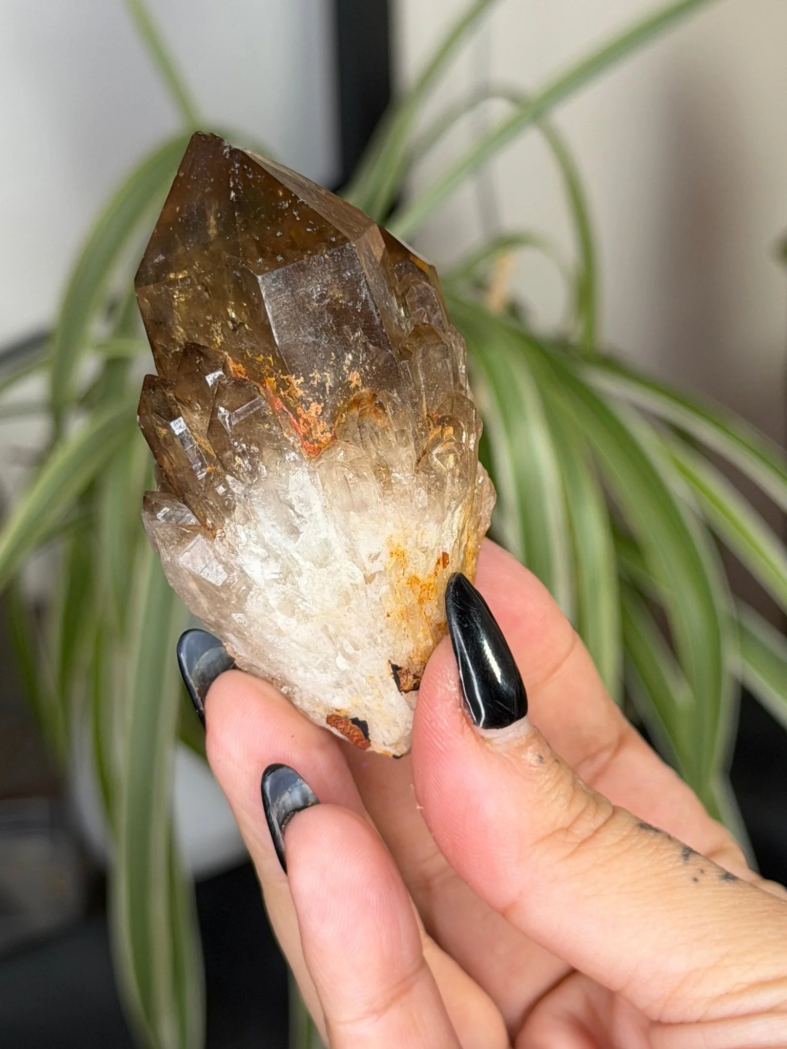 Natural Congo ('Kundalini) Citrine | 86g