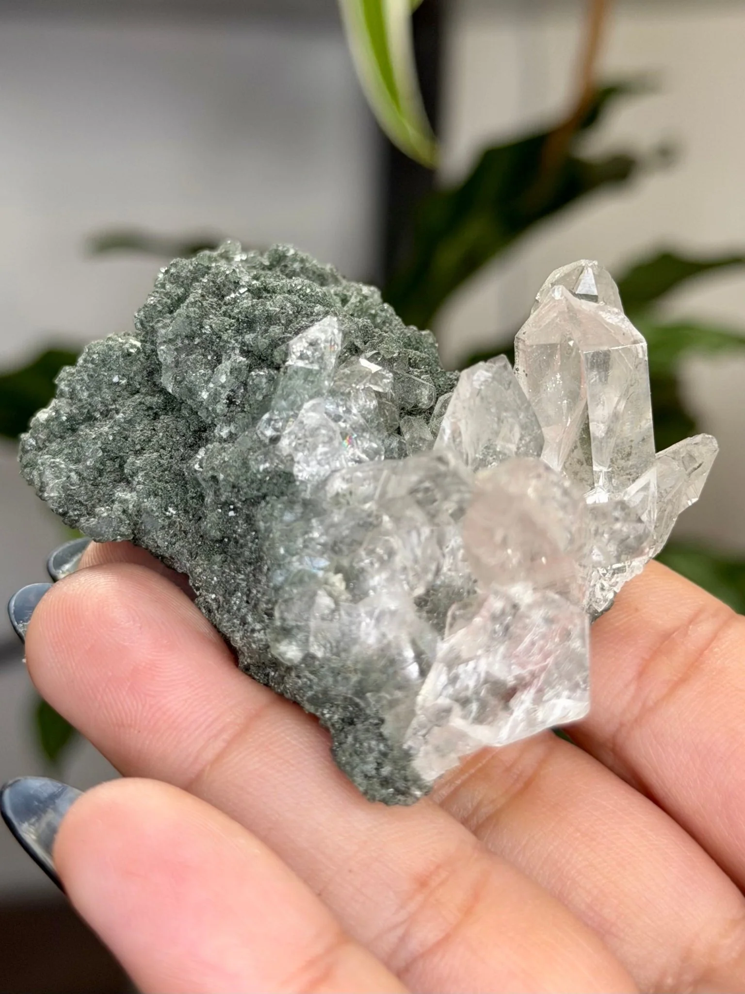 High Quality Himalayan Quartz with Chlorite | 62g