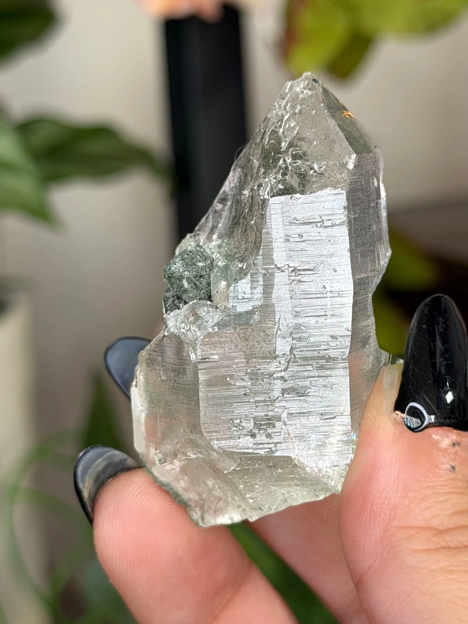 High Quality Himalayan Quartz with Chlorite Point | 49g
