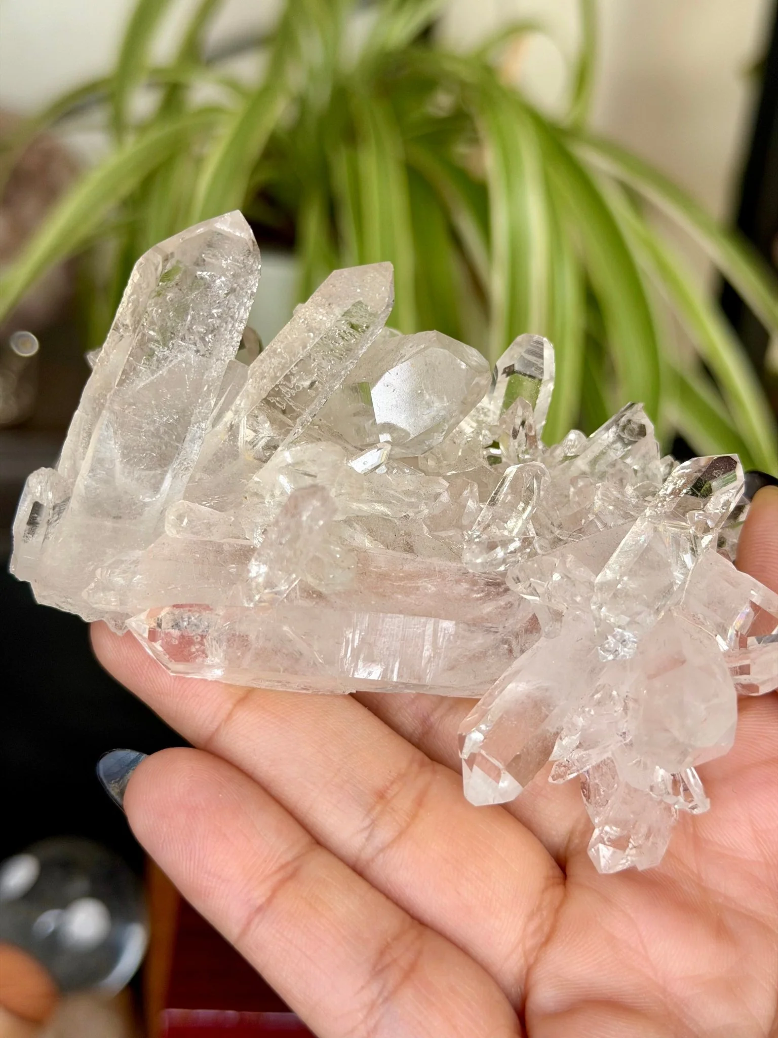 High Quality Clear Quartz Cluster |106g
